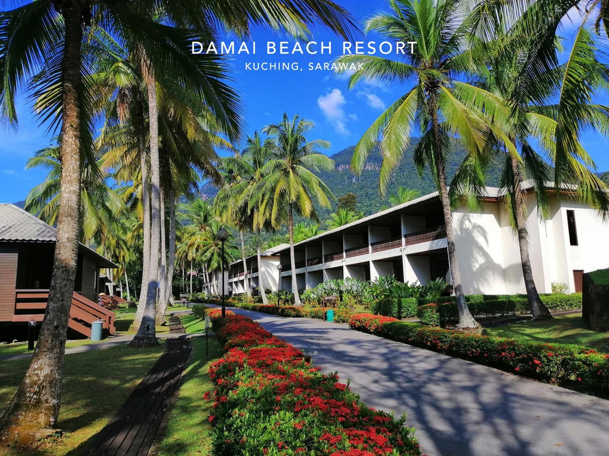 Damai Beach Resort photo 5