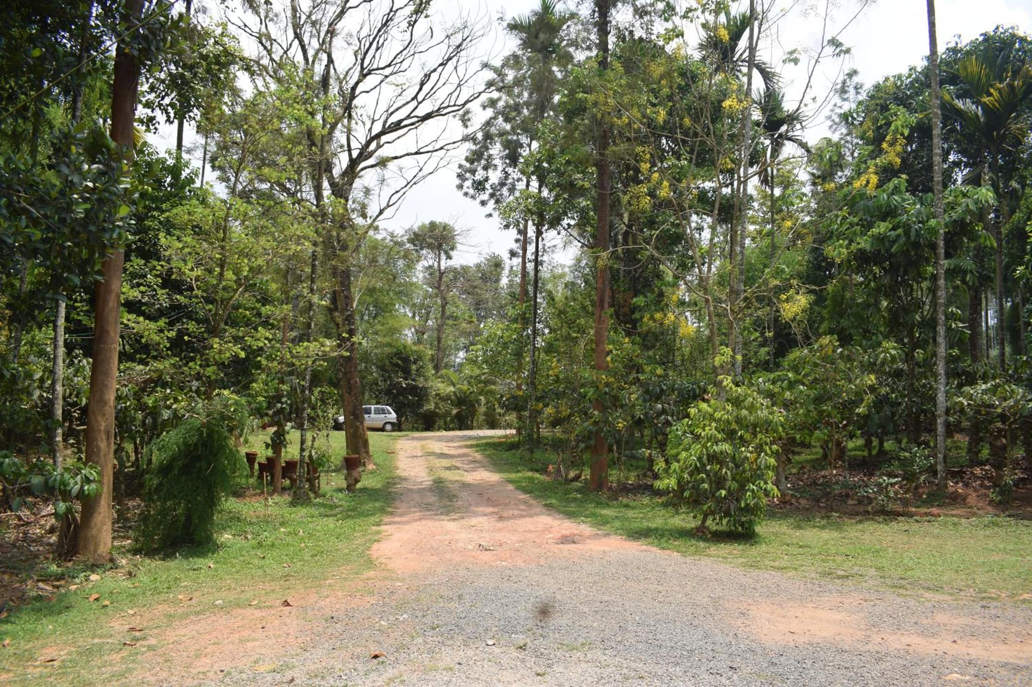 3 Hills Hostel photo 3