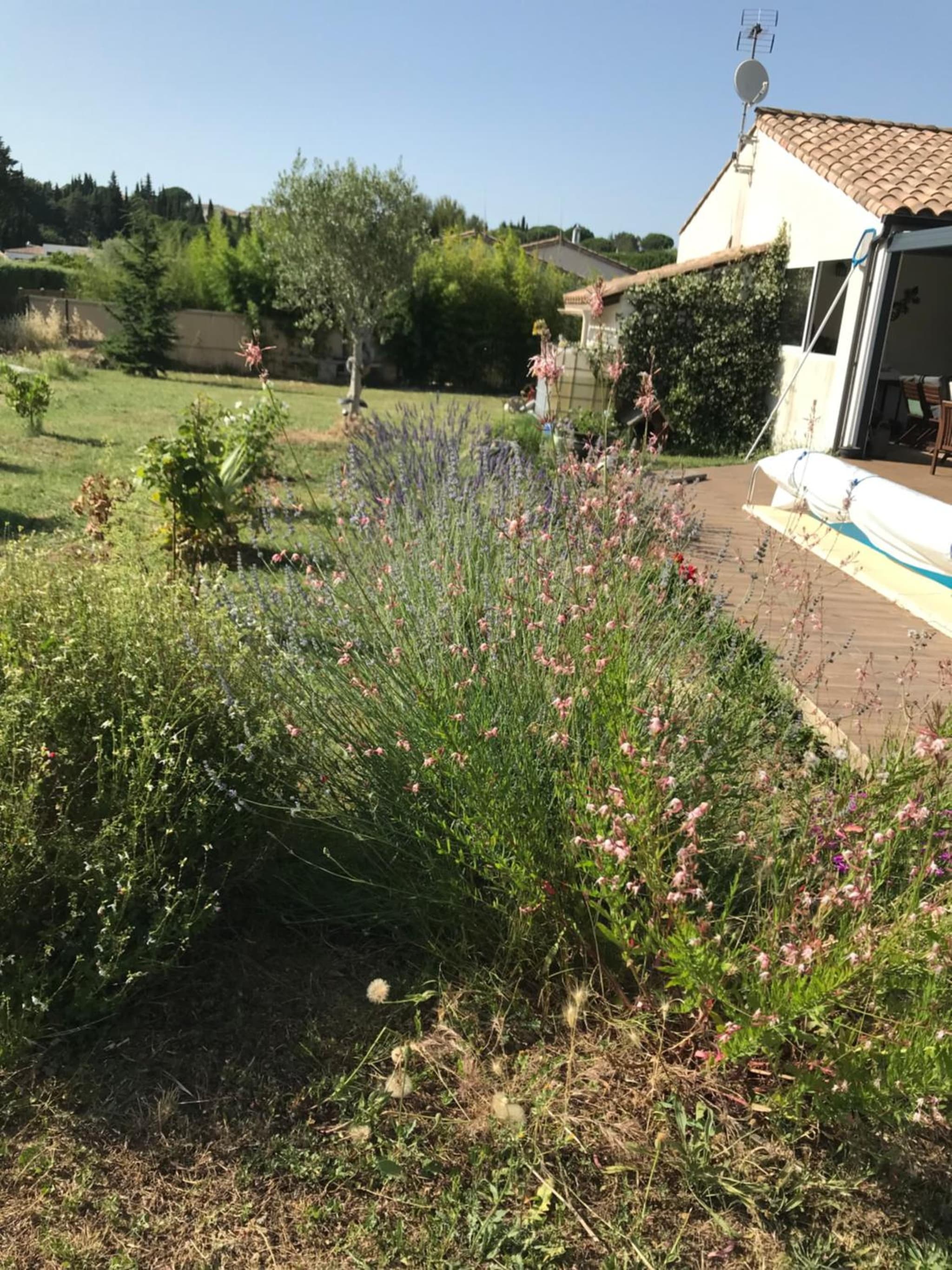 La Rosela de la Cité photo 2