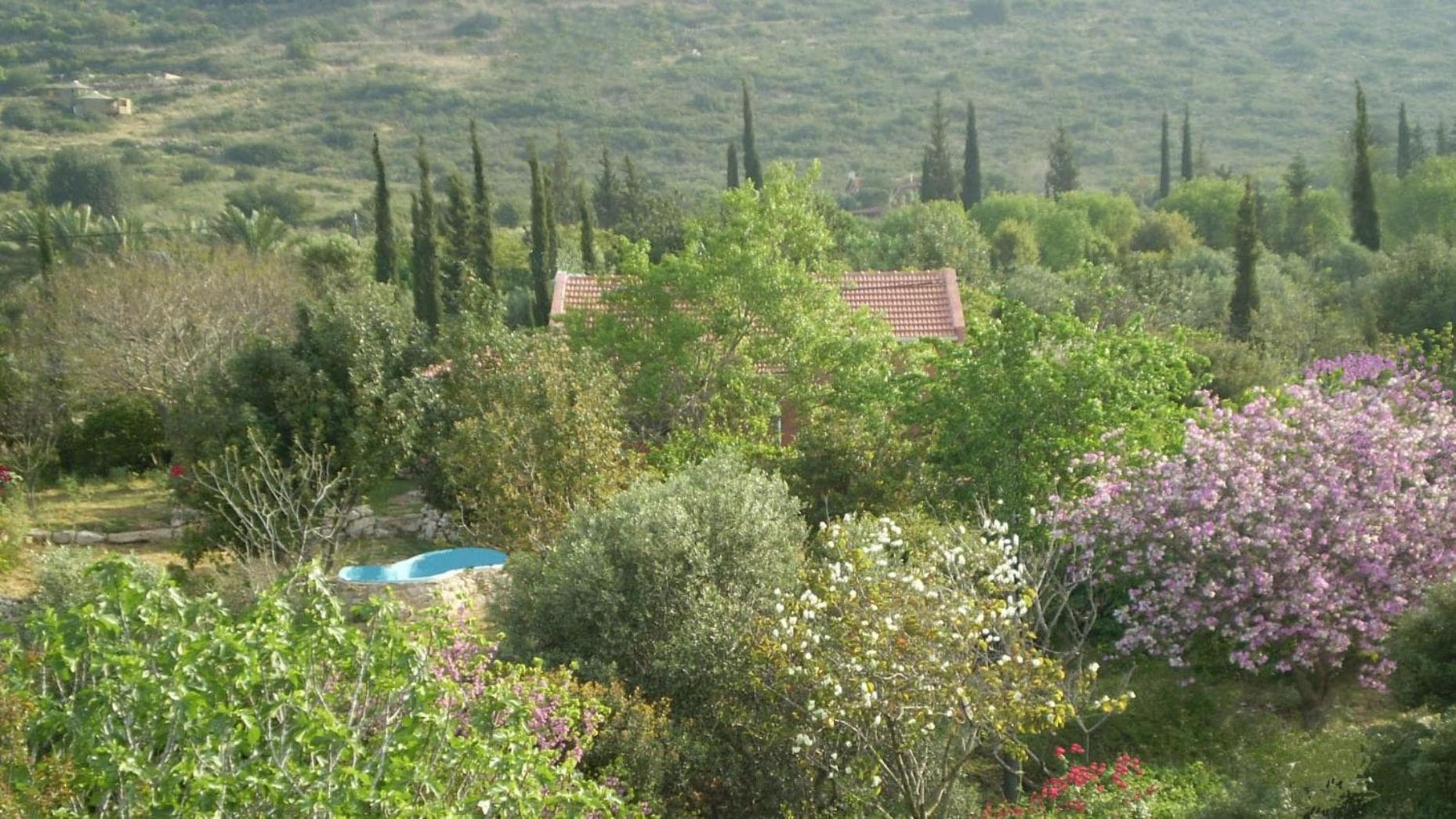 Villa Adama photo 4