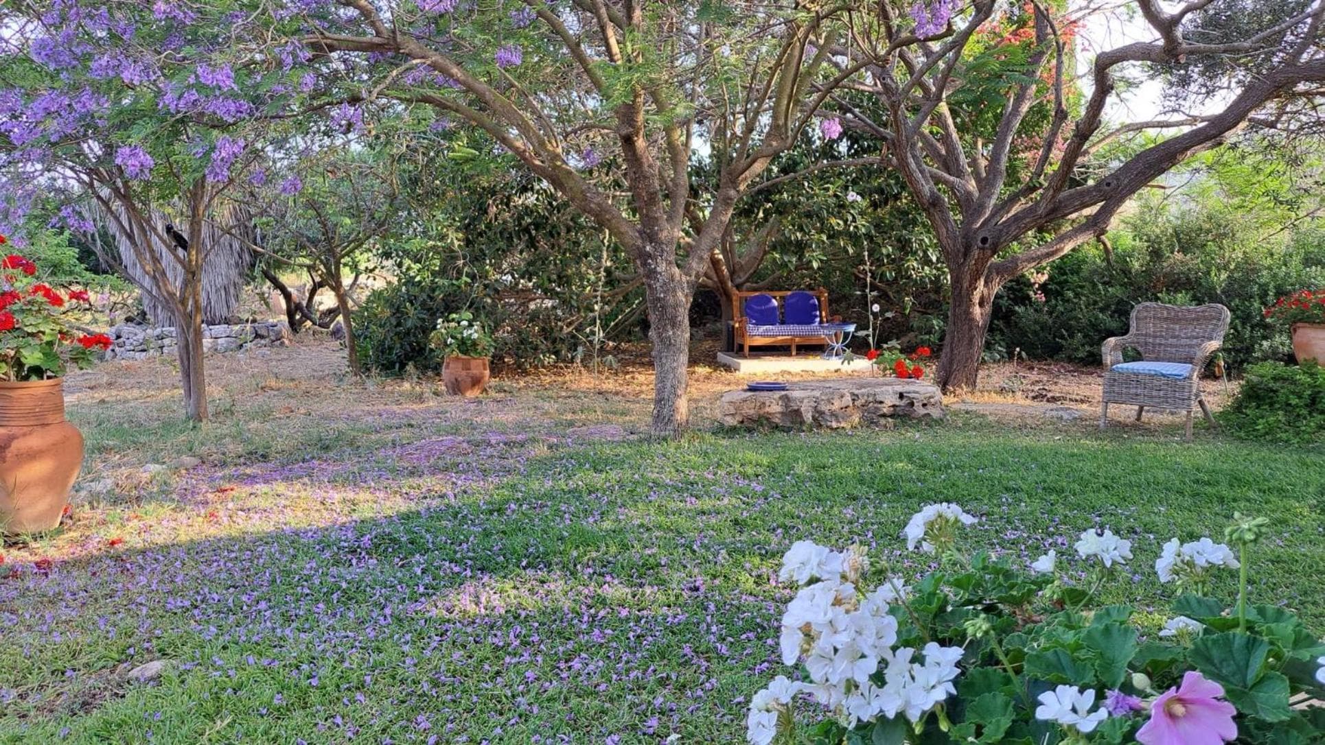 Villa Adama photo 3