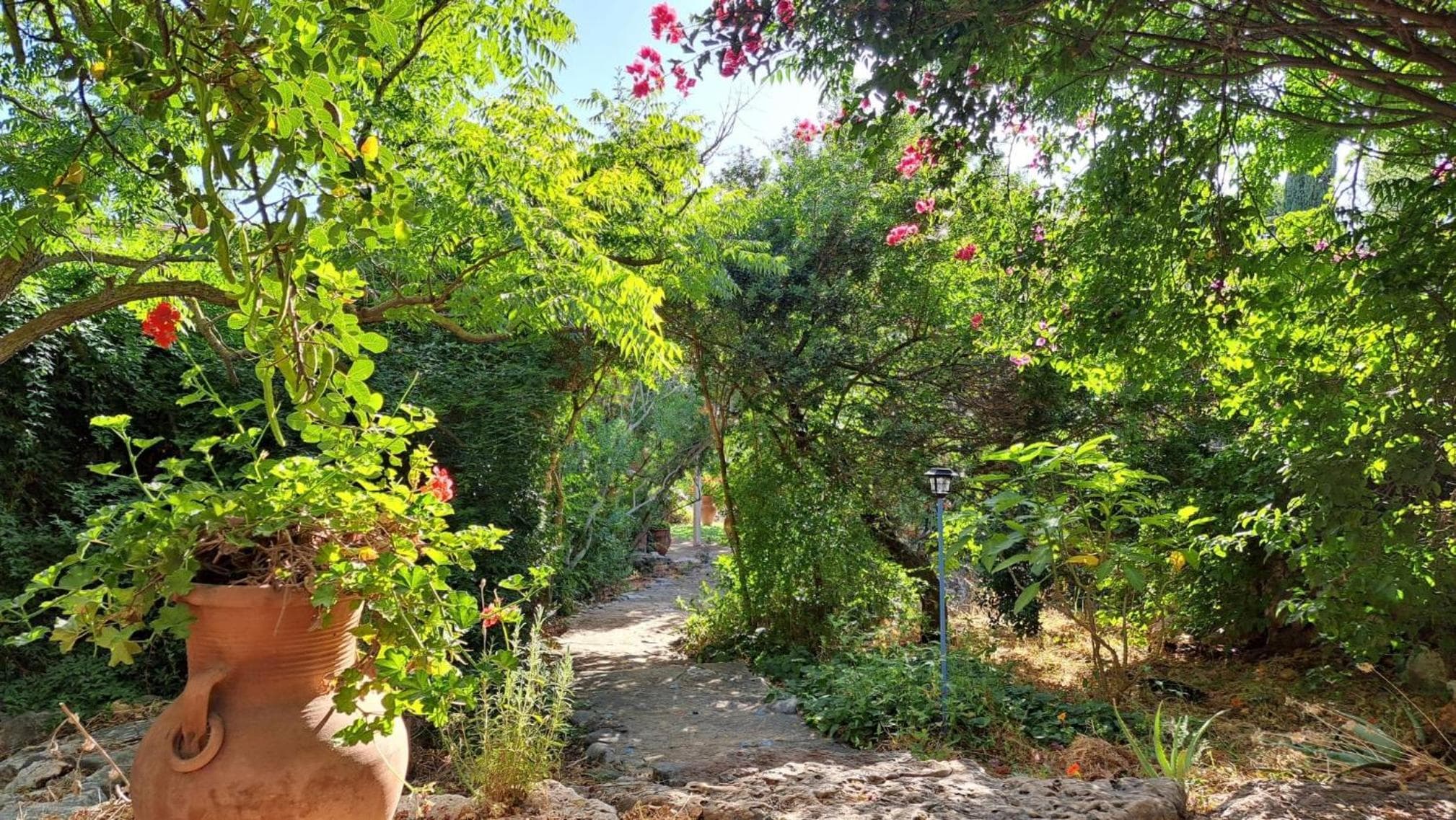 Villa Adama photo 9