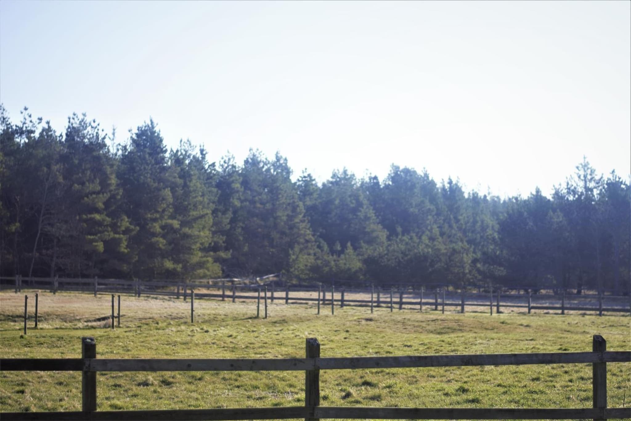 Lildgaard photo 5