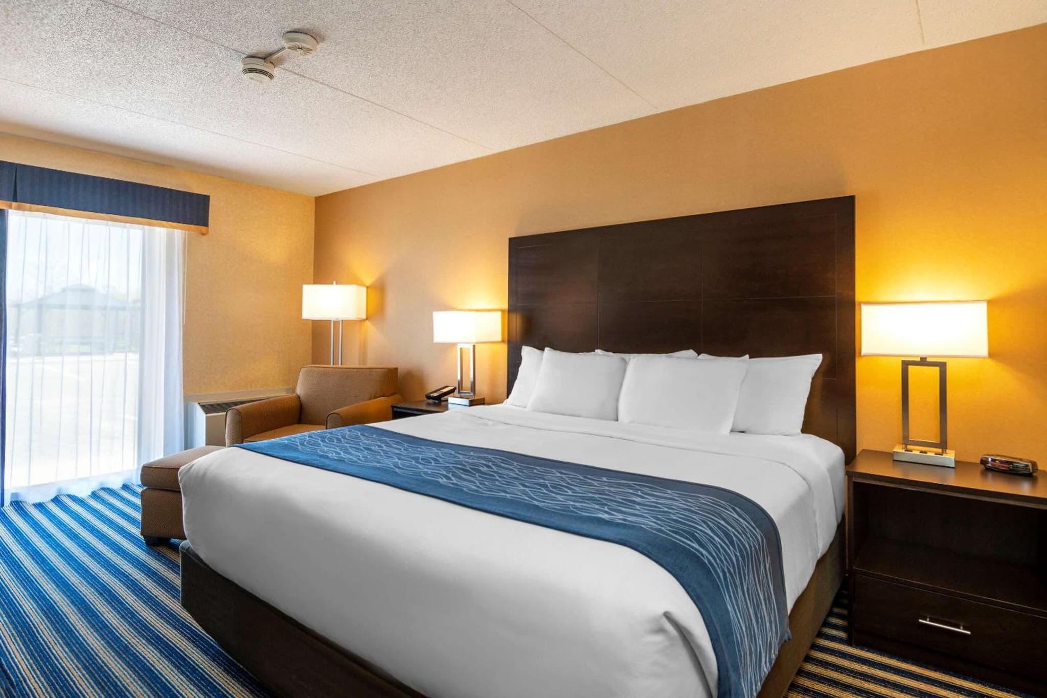 Comfort Inn photo 9