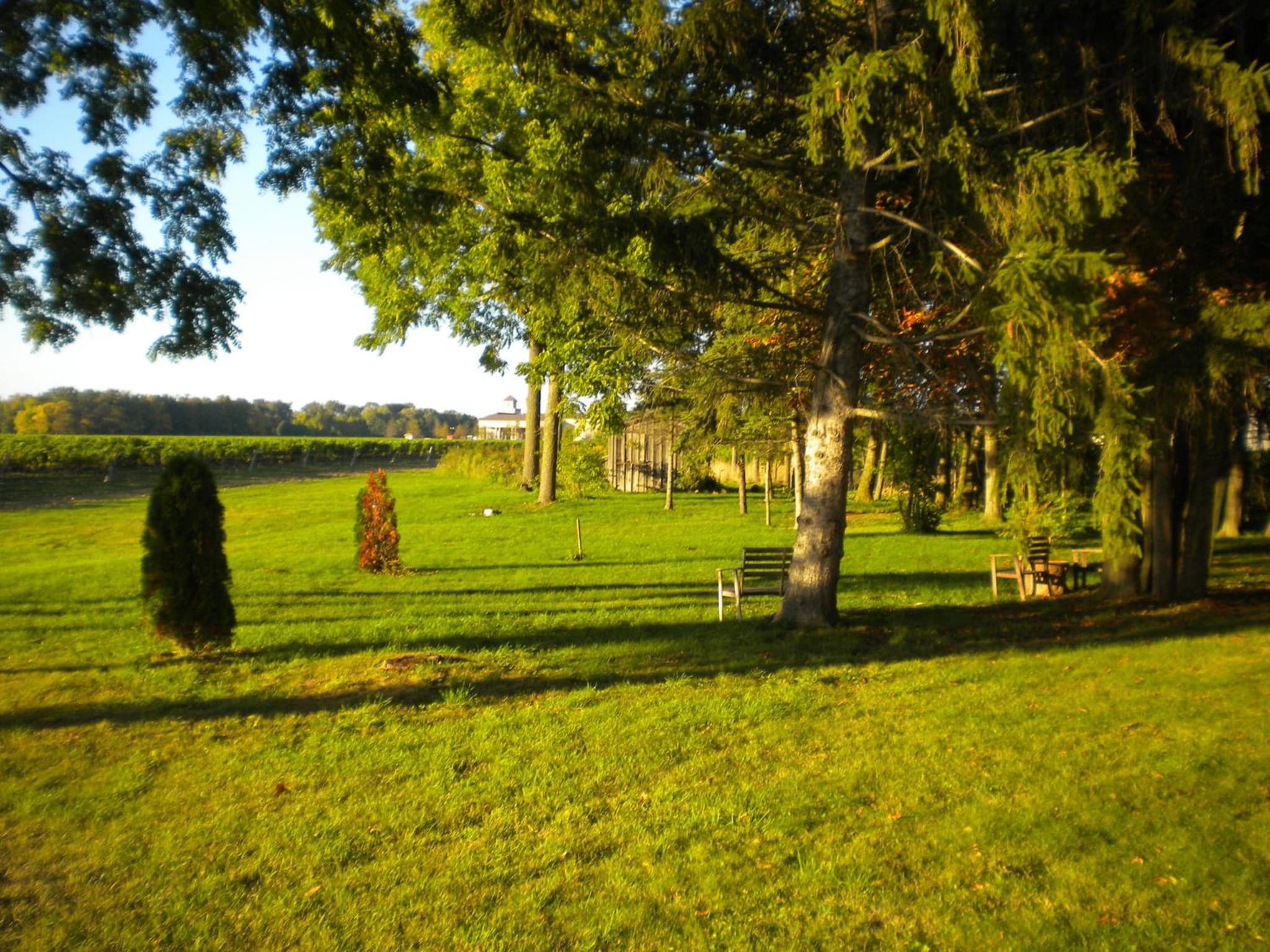 Vineyard Villa photo 3