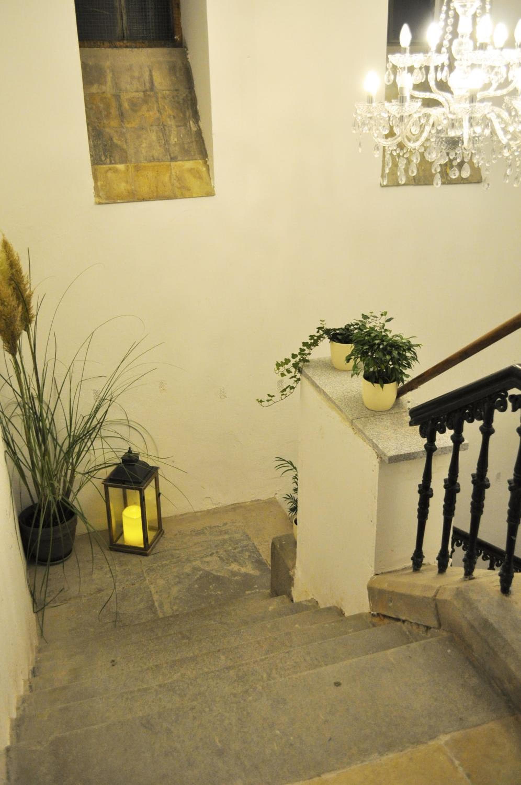 Art Hotel & Hostel photo 8