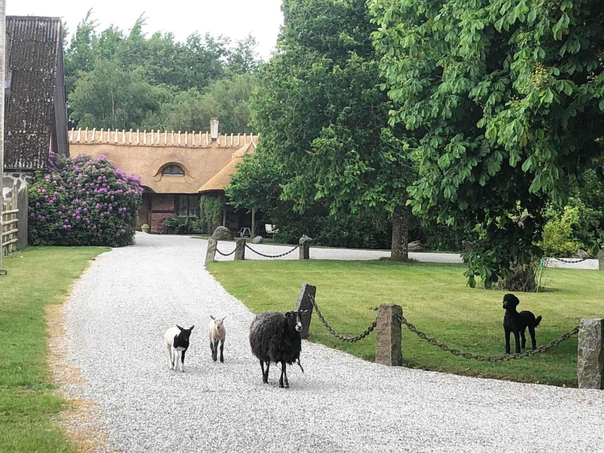 Cottage on unique farm photo 2