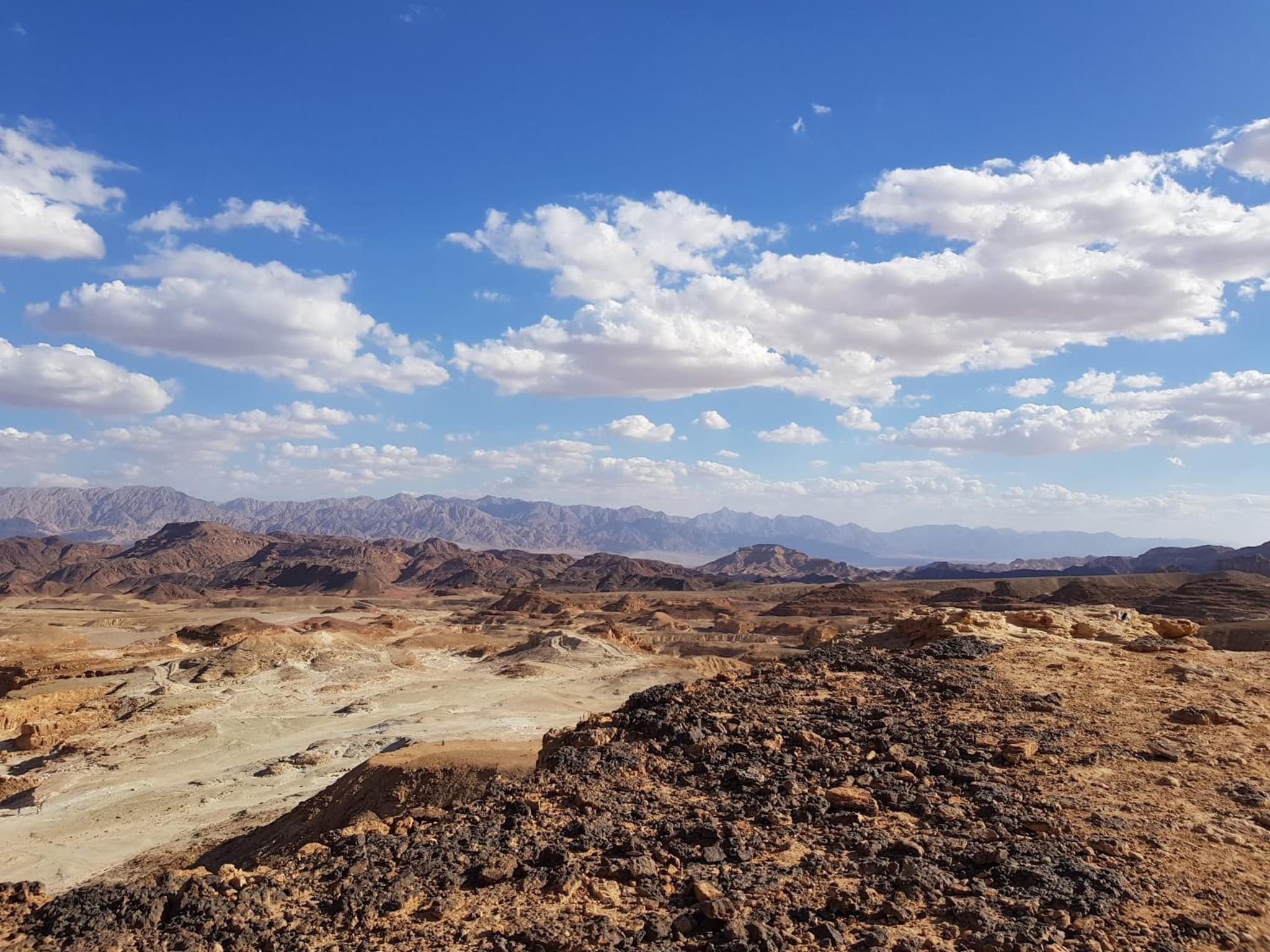 Desert Path photo 3
