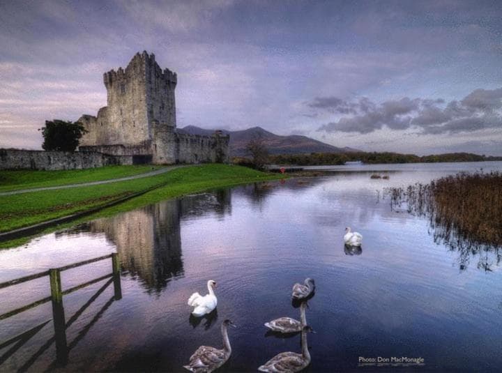 Kathleens Country House photo 4