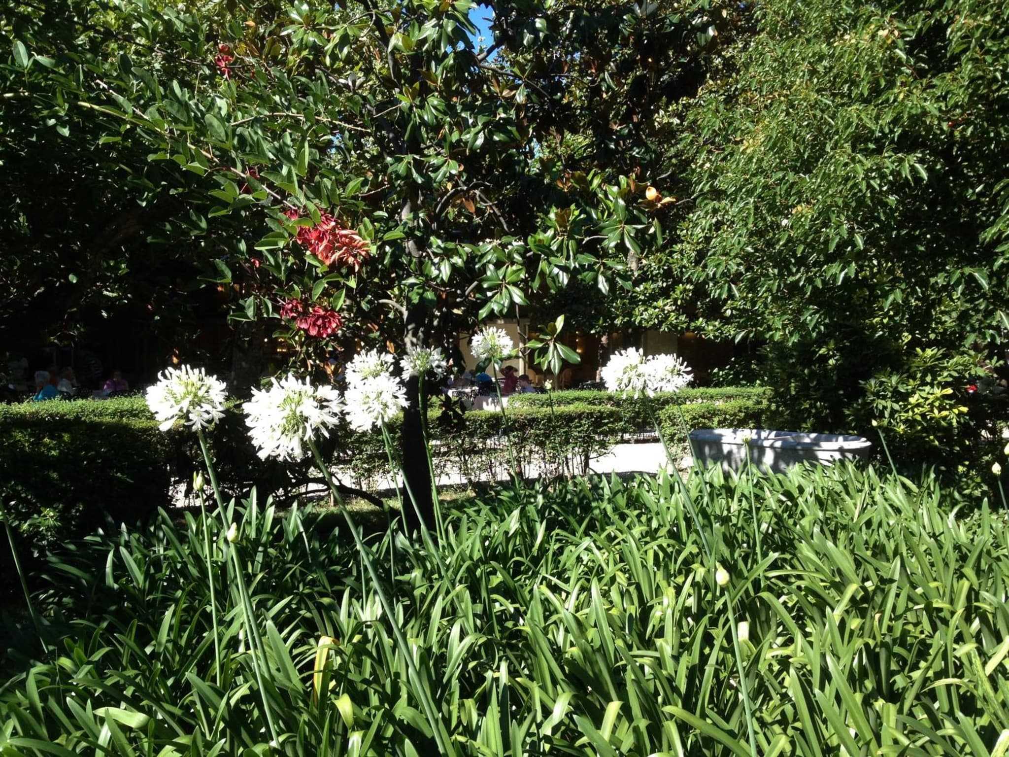 Grand Hotel Villa Balbi photo 4