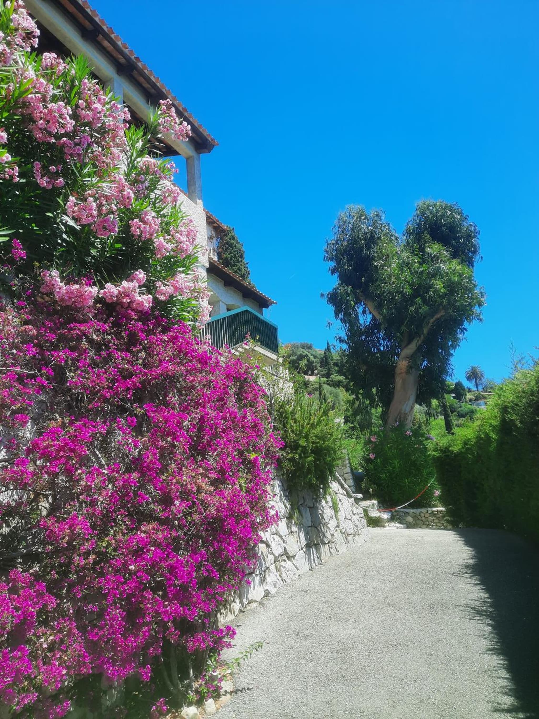 Soutariba photo 2