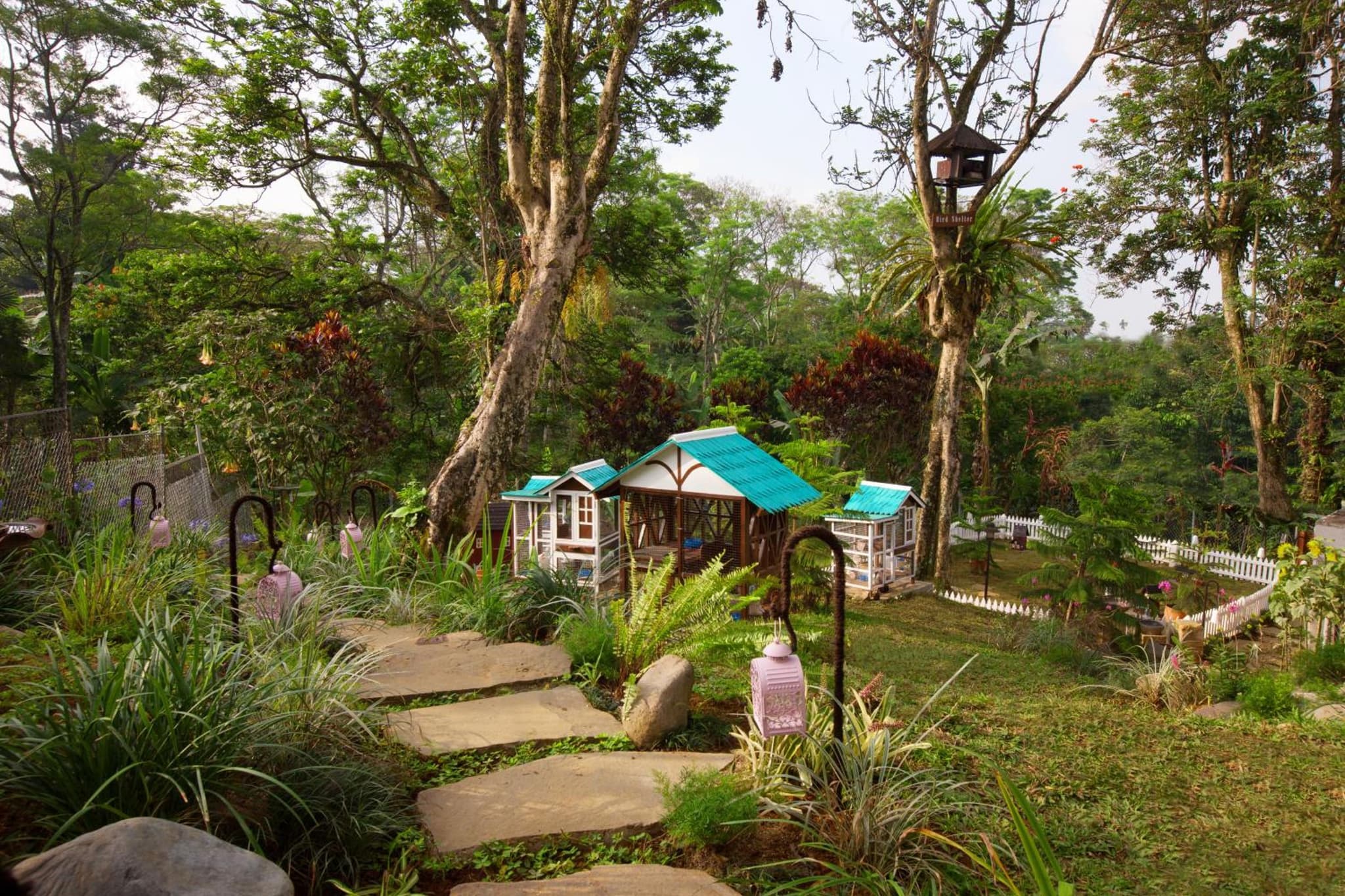 Novus Giri Resort & Spa photo 8