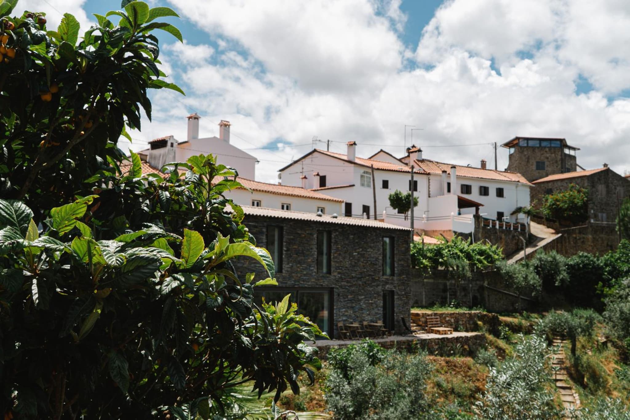 Zab Living photo 5