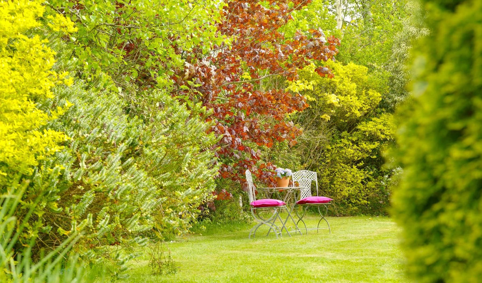 Courtyard Cottages photo 2