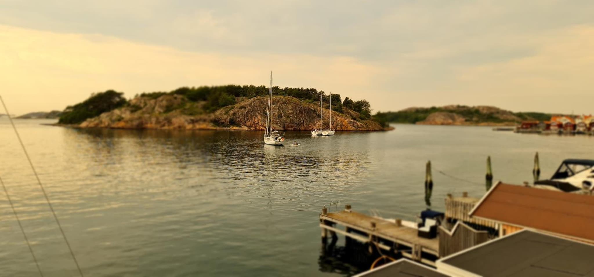 Marinan Richters photo 4
