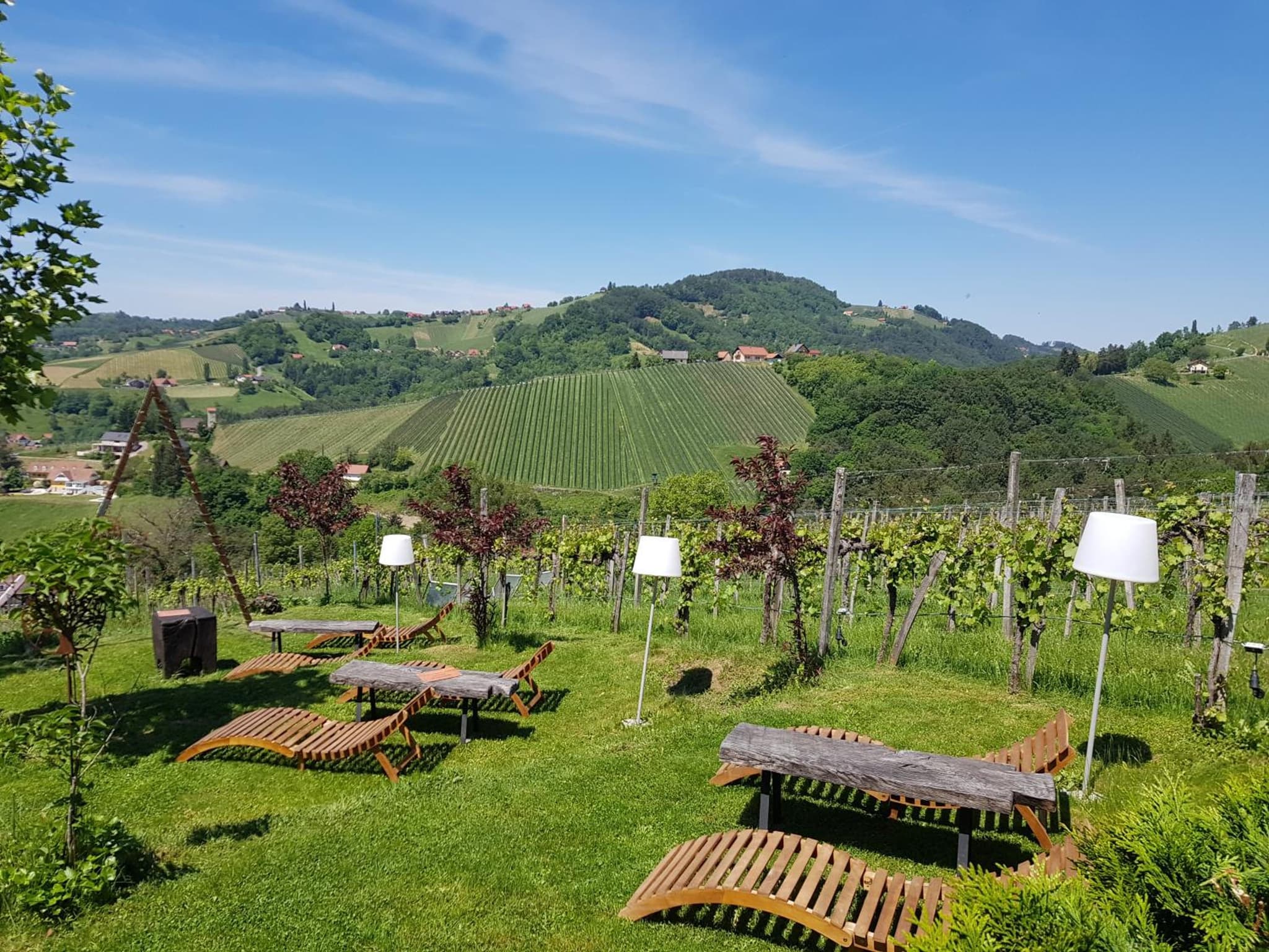 Weingut Reiterer photo 6
