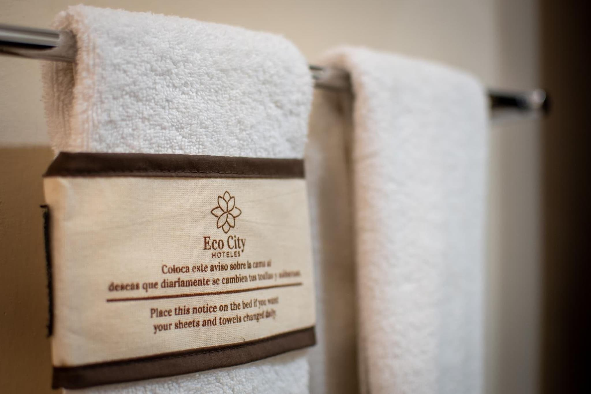 Eco City Hoteles photo 5