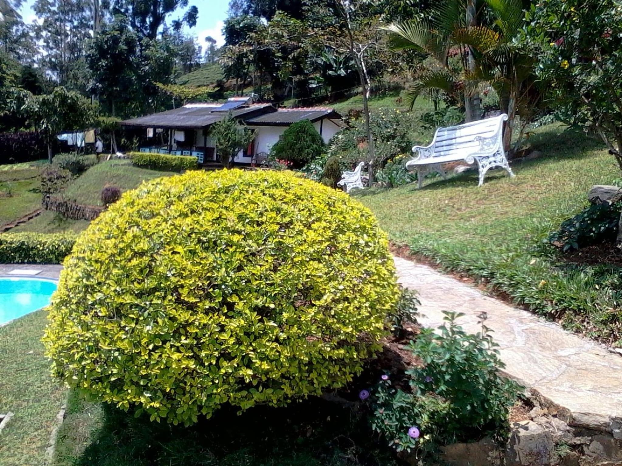 Hatton Summer House photo 6
