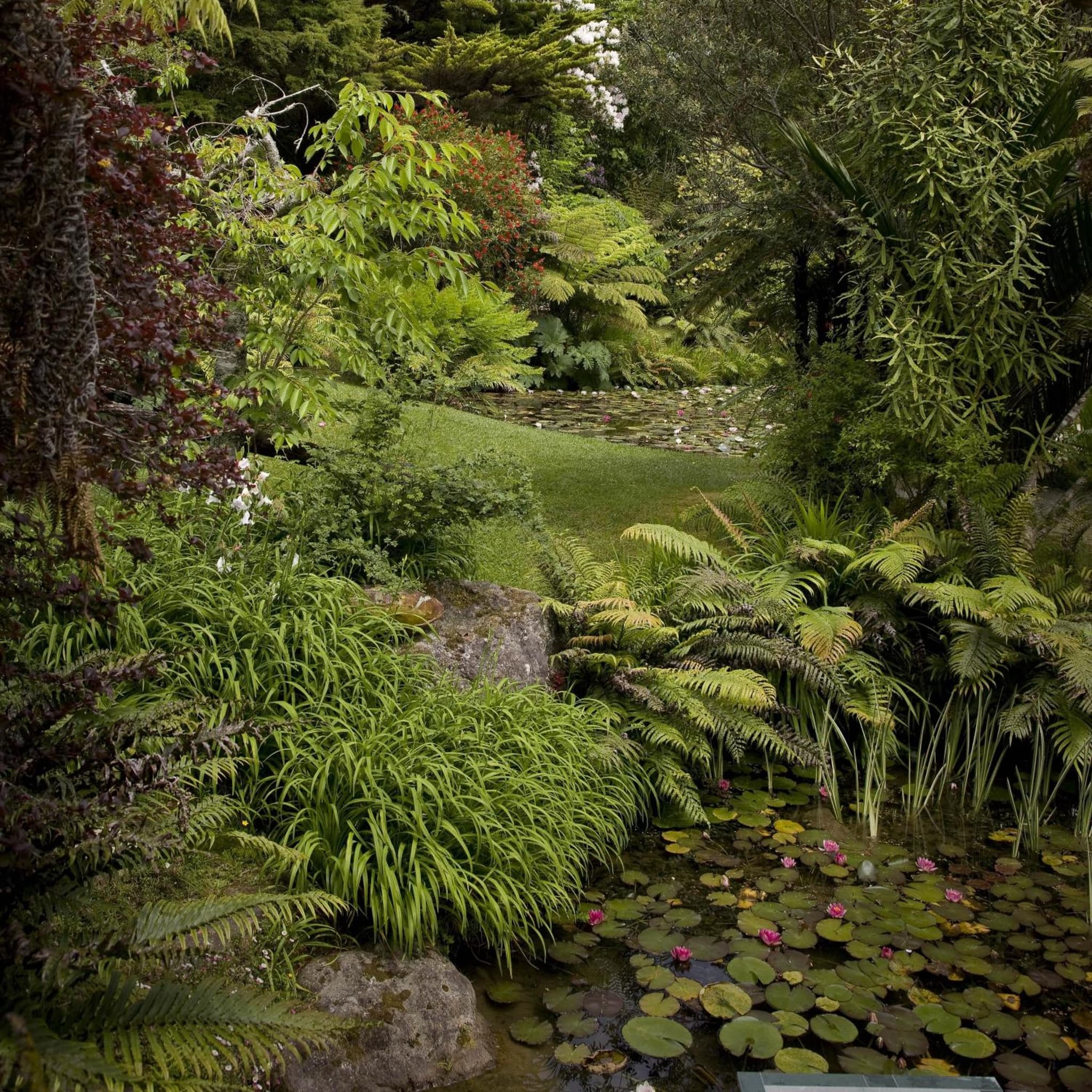 Rapaura Watergardens photo 3