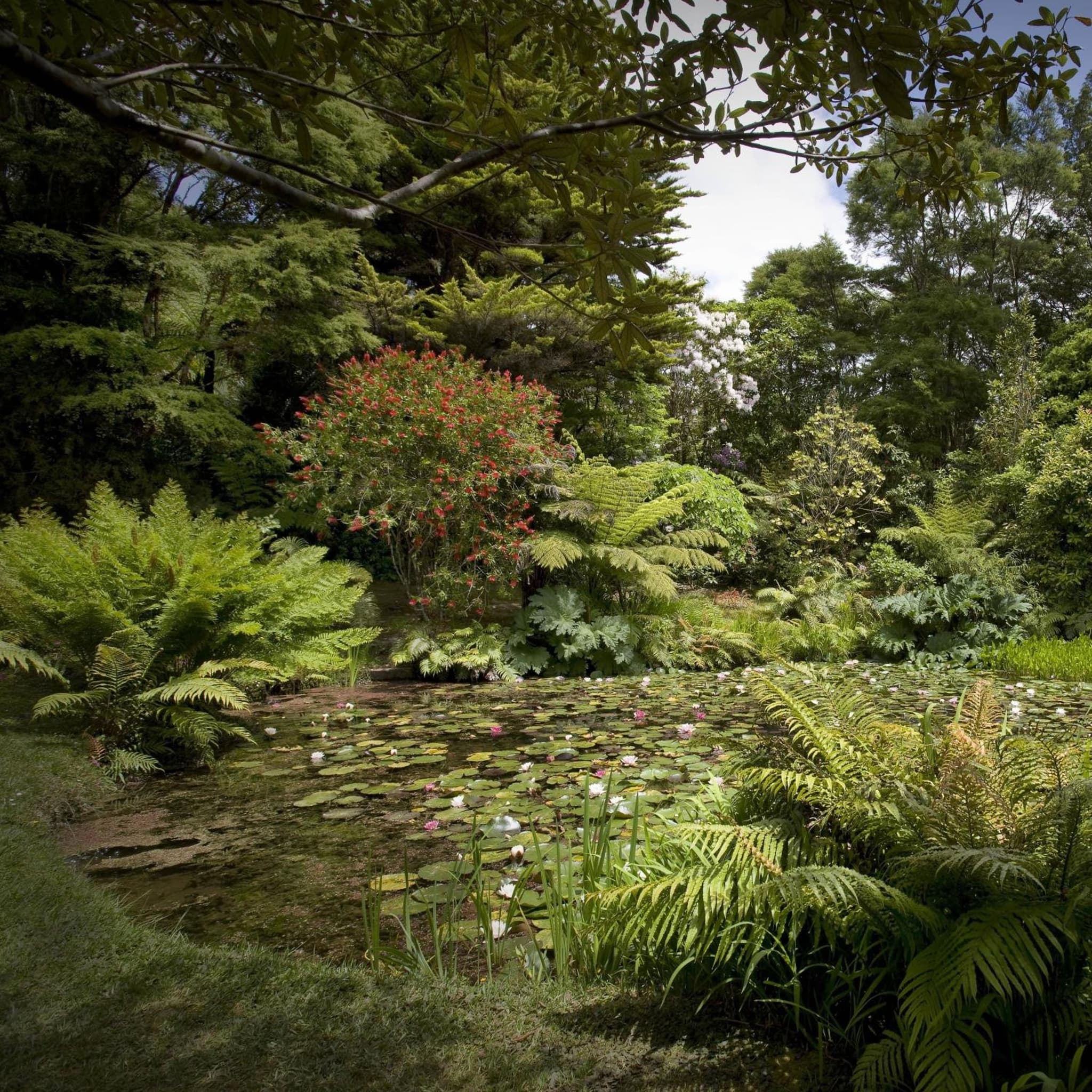 Rapaura Watergardens photo 2