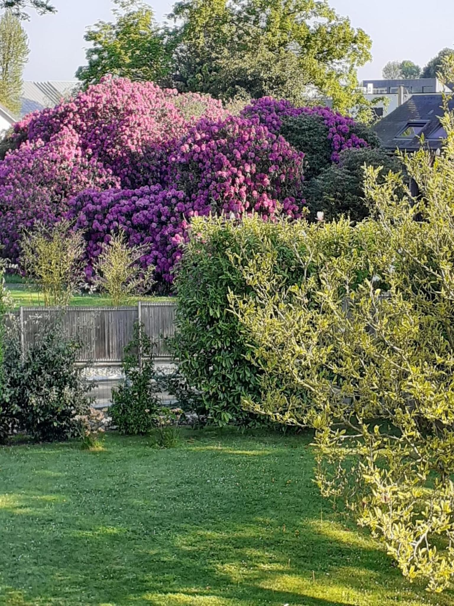 Manoir de l'As de Trèfle photo 6