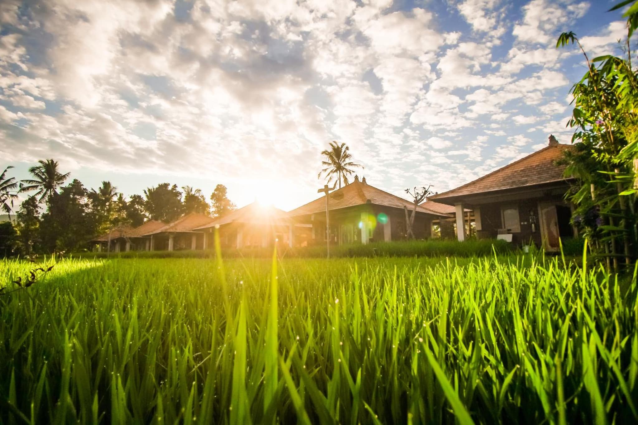 Sri Lestari Banyuatis photo 5