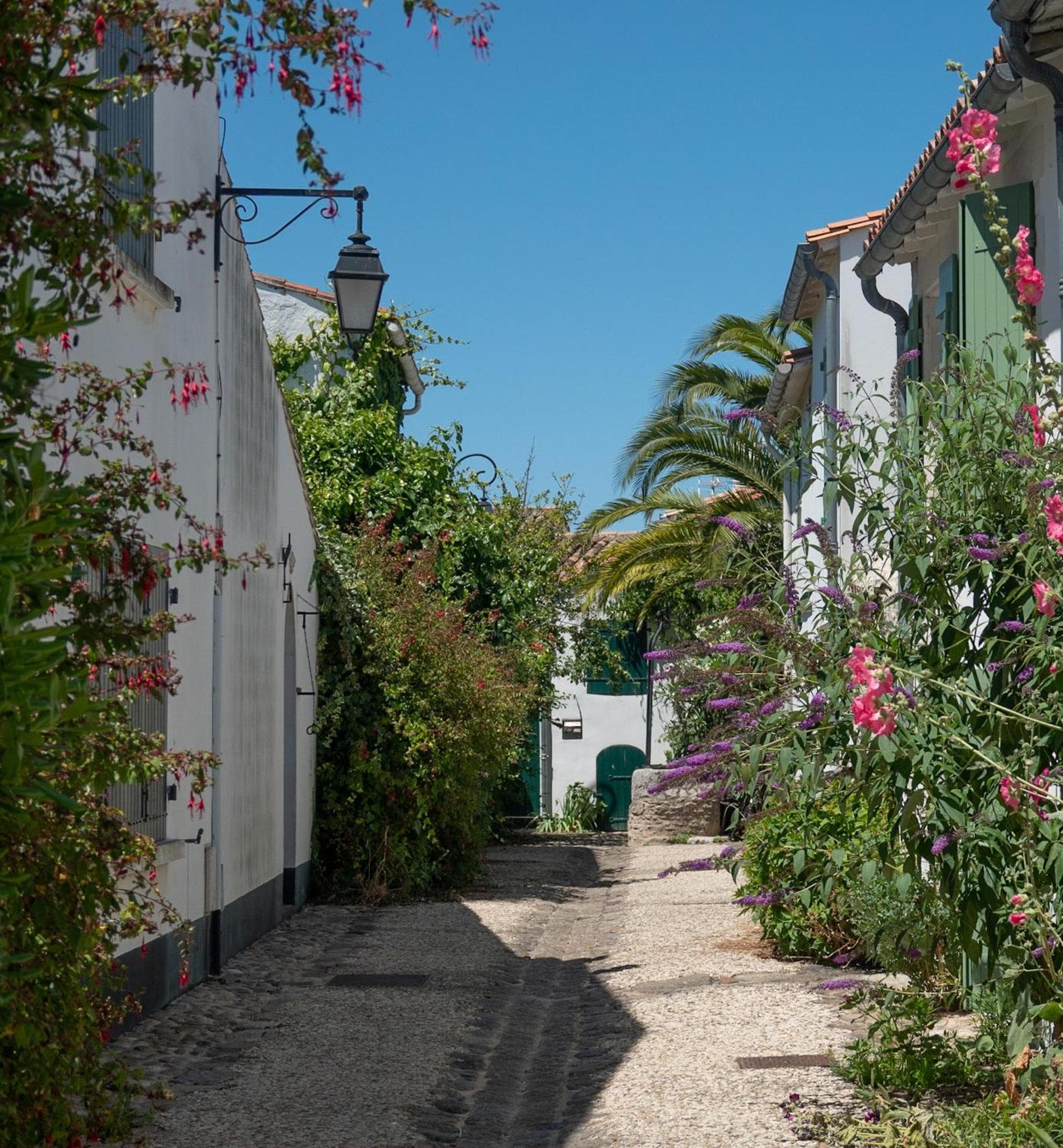 La Martinoise Garden photo 2