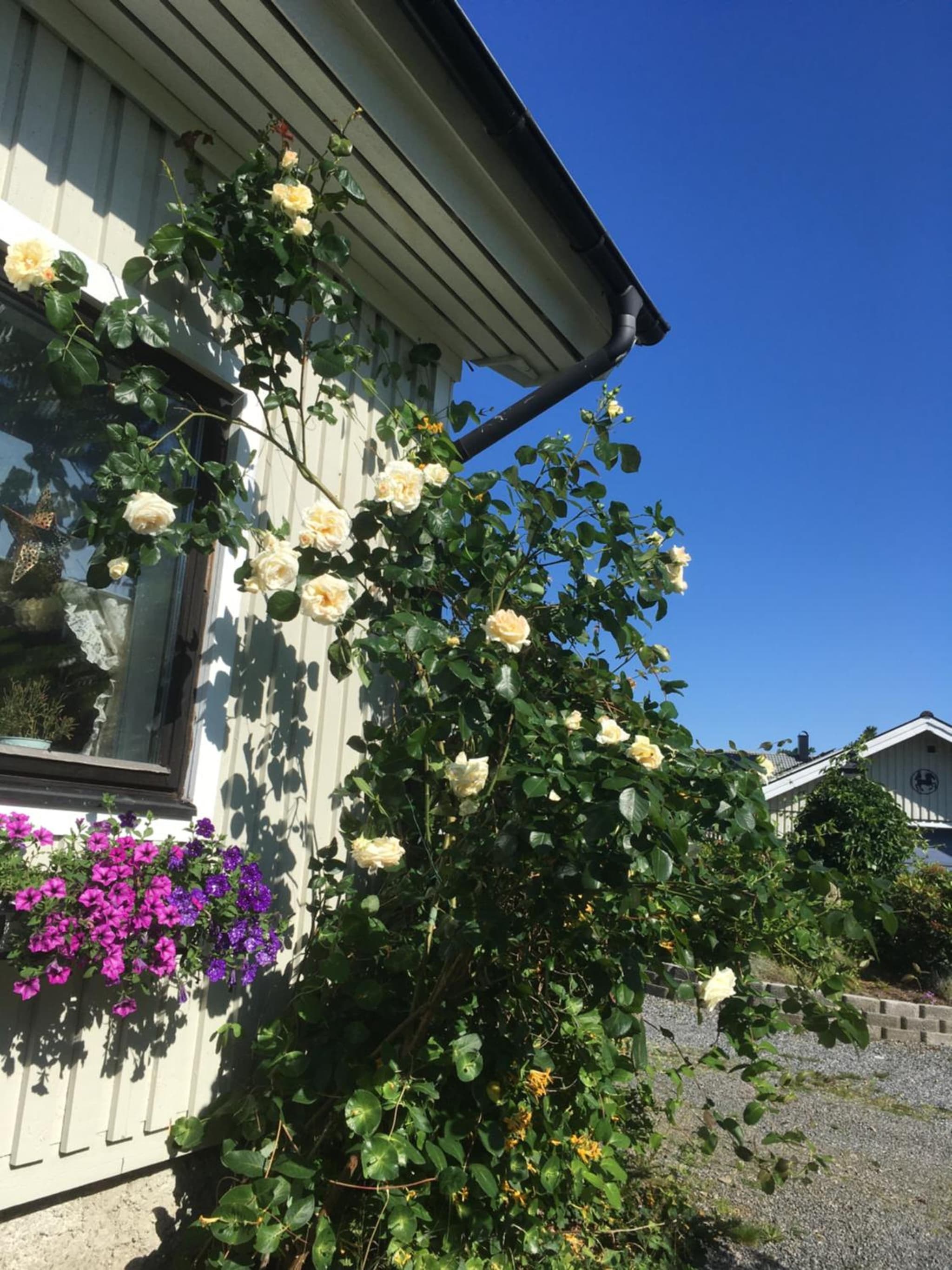AirbnbEkåsberg photo 6