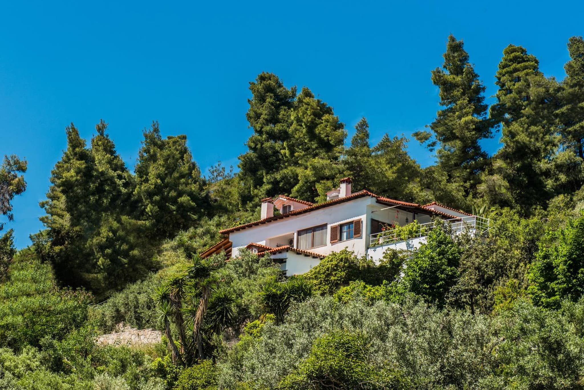 Mola Home by halu! Villas photo 8