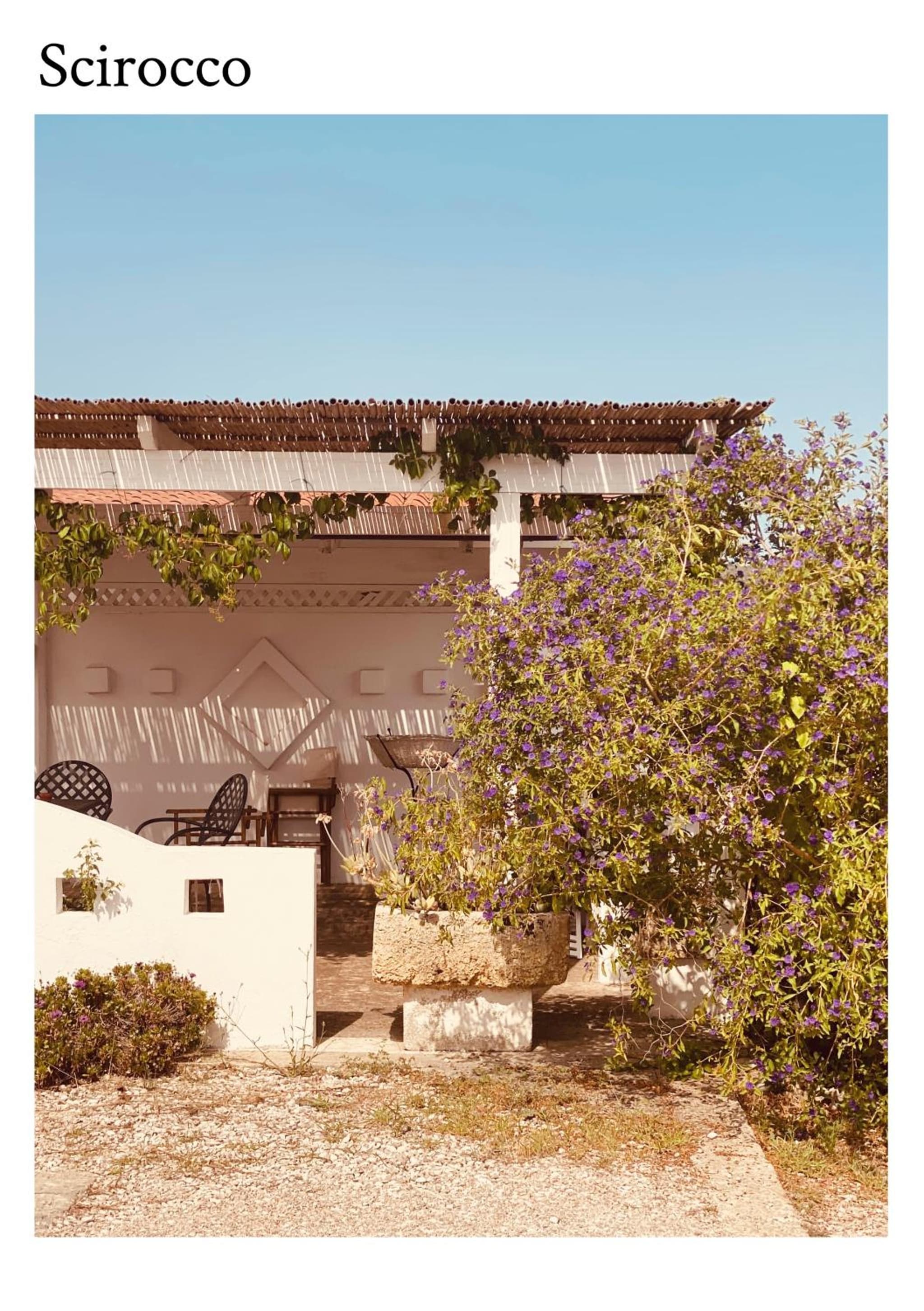 VIGNA VECCHIA photo 9