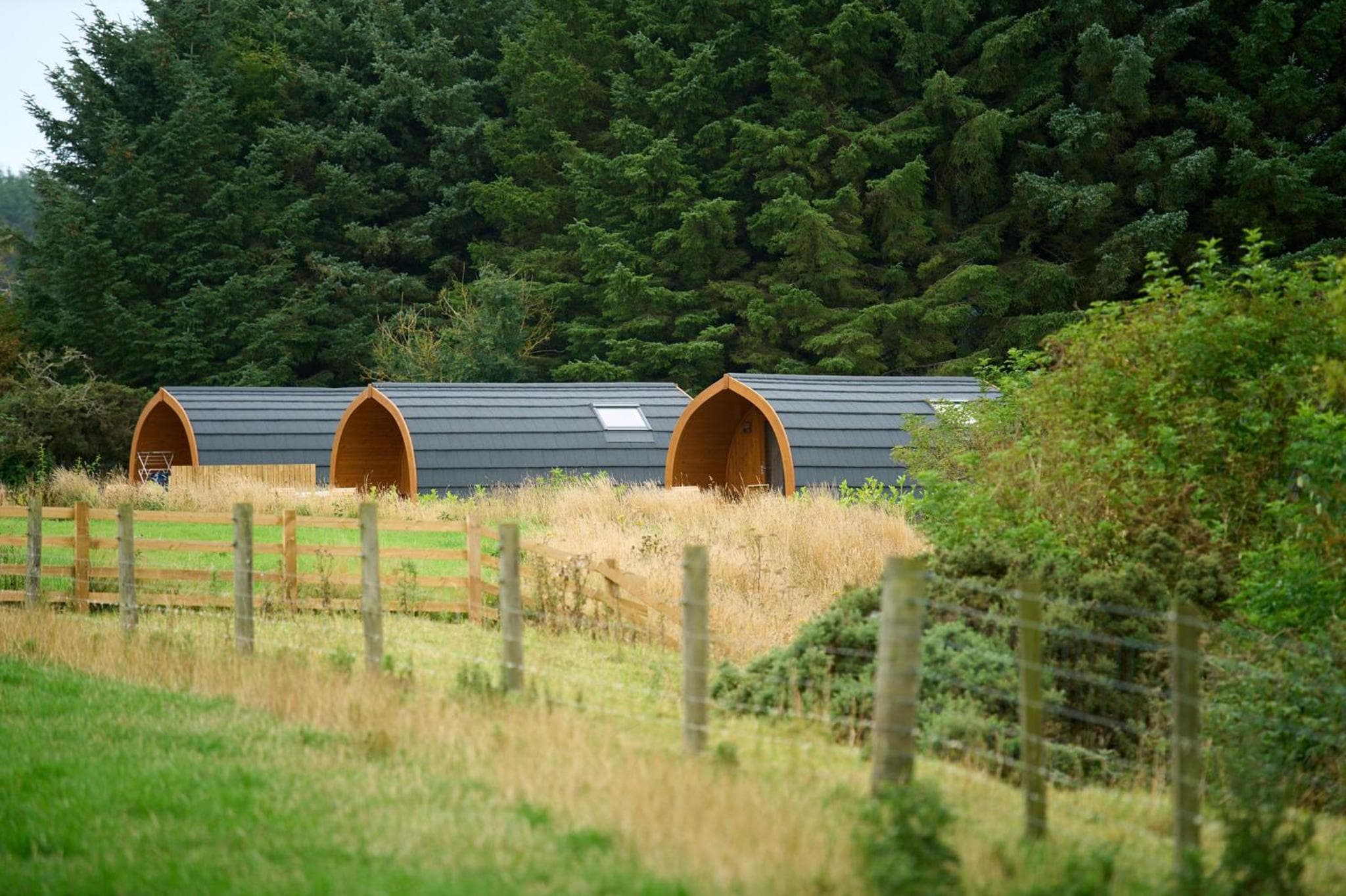 Braeview Escapes photo 6