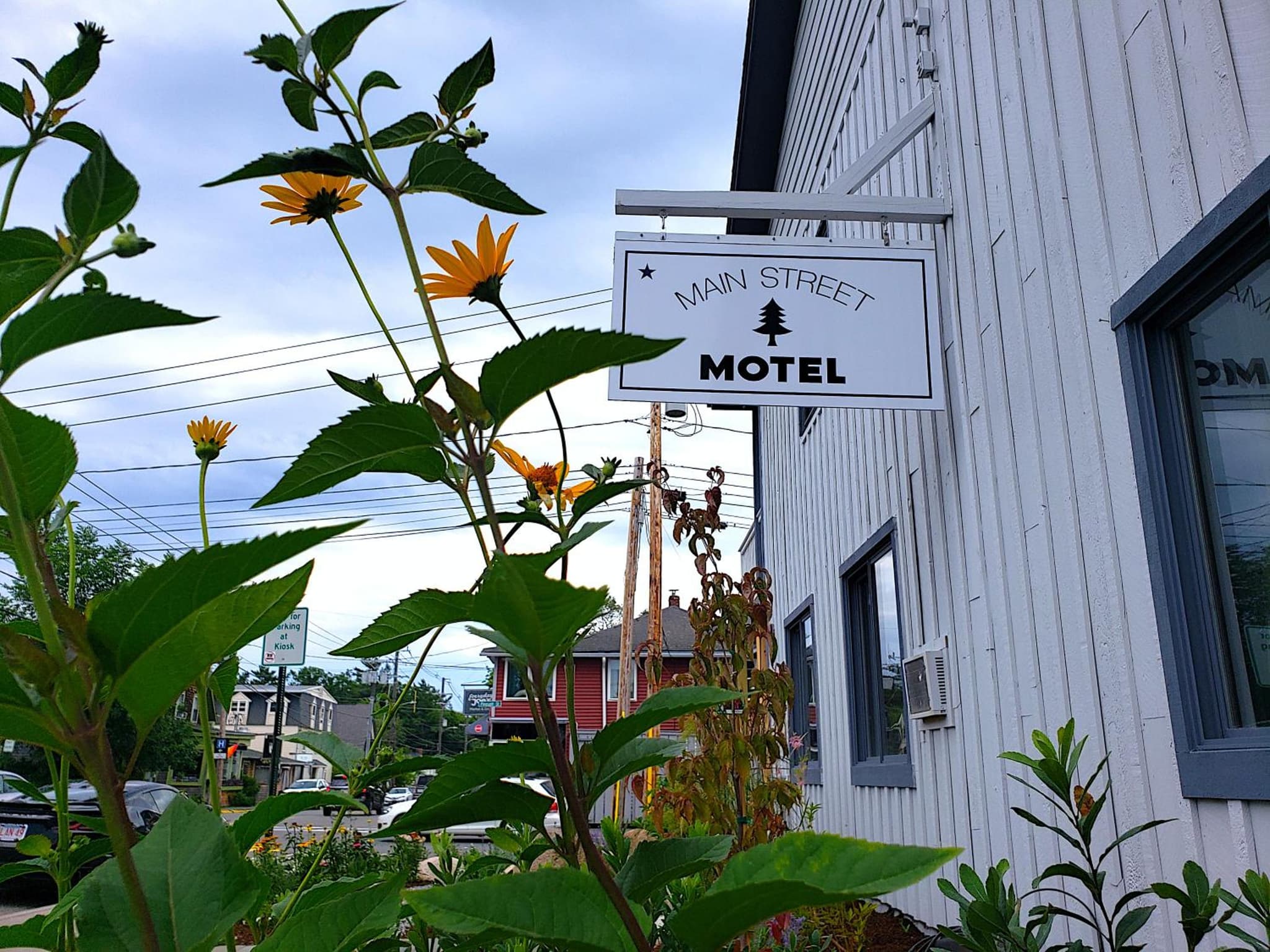 Main Street Motel photo 8