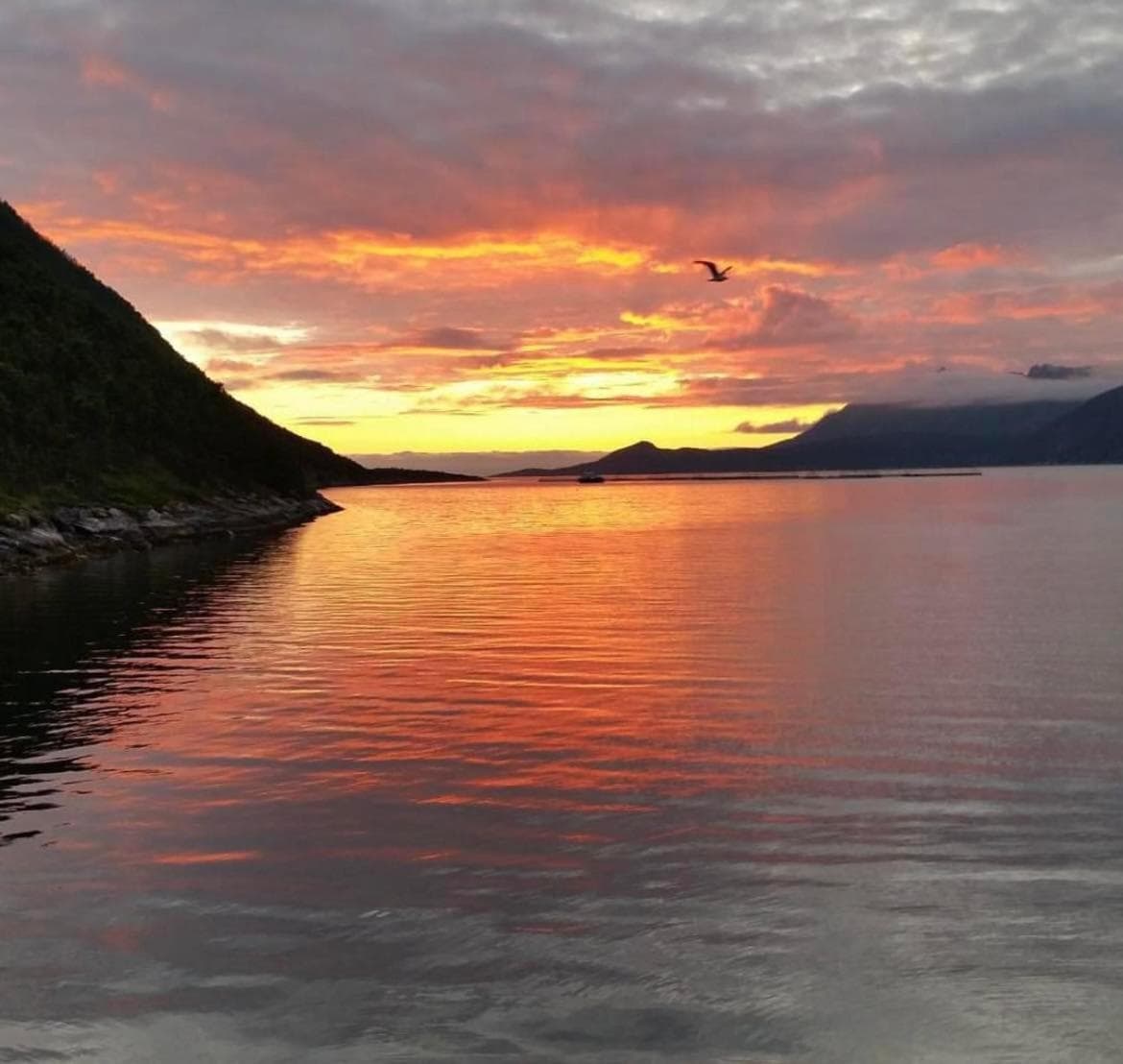 Senja Living photo 6
