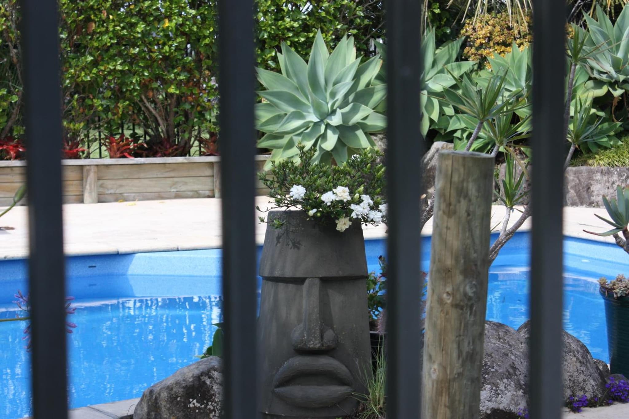 Snells Beach Motel photo 5