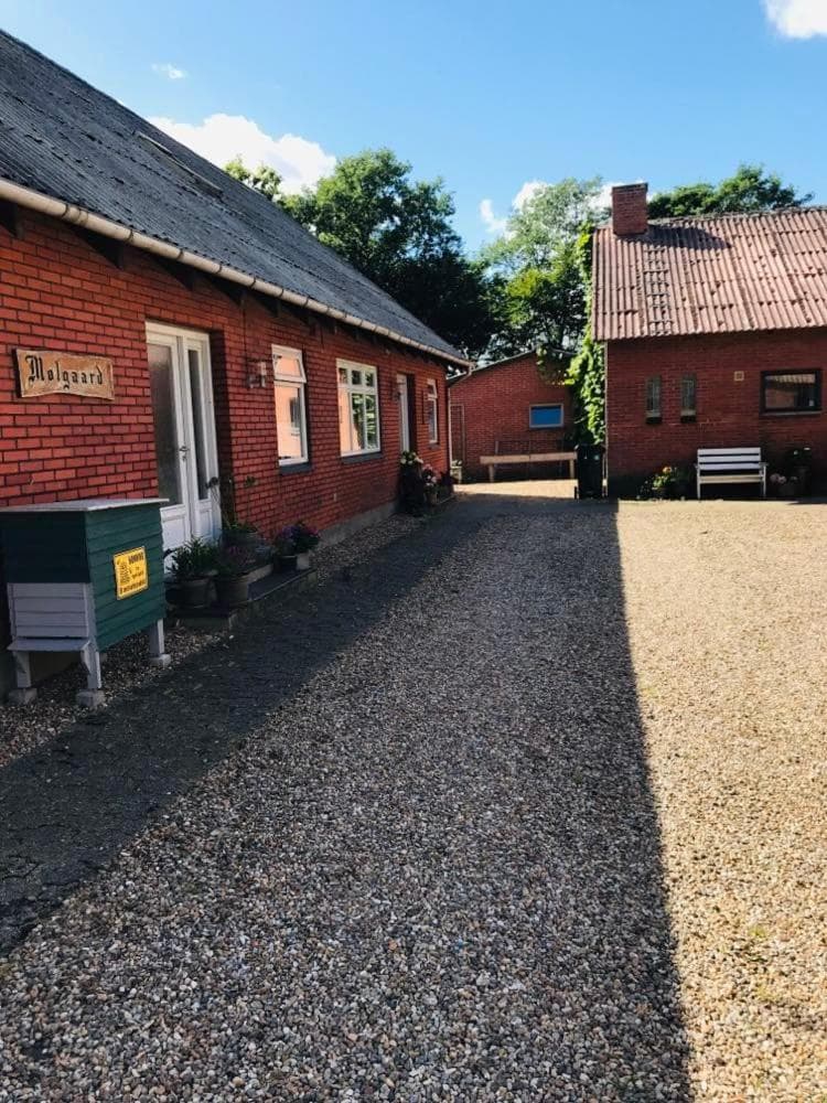 B & B Mølgaard by Skjern photo 8