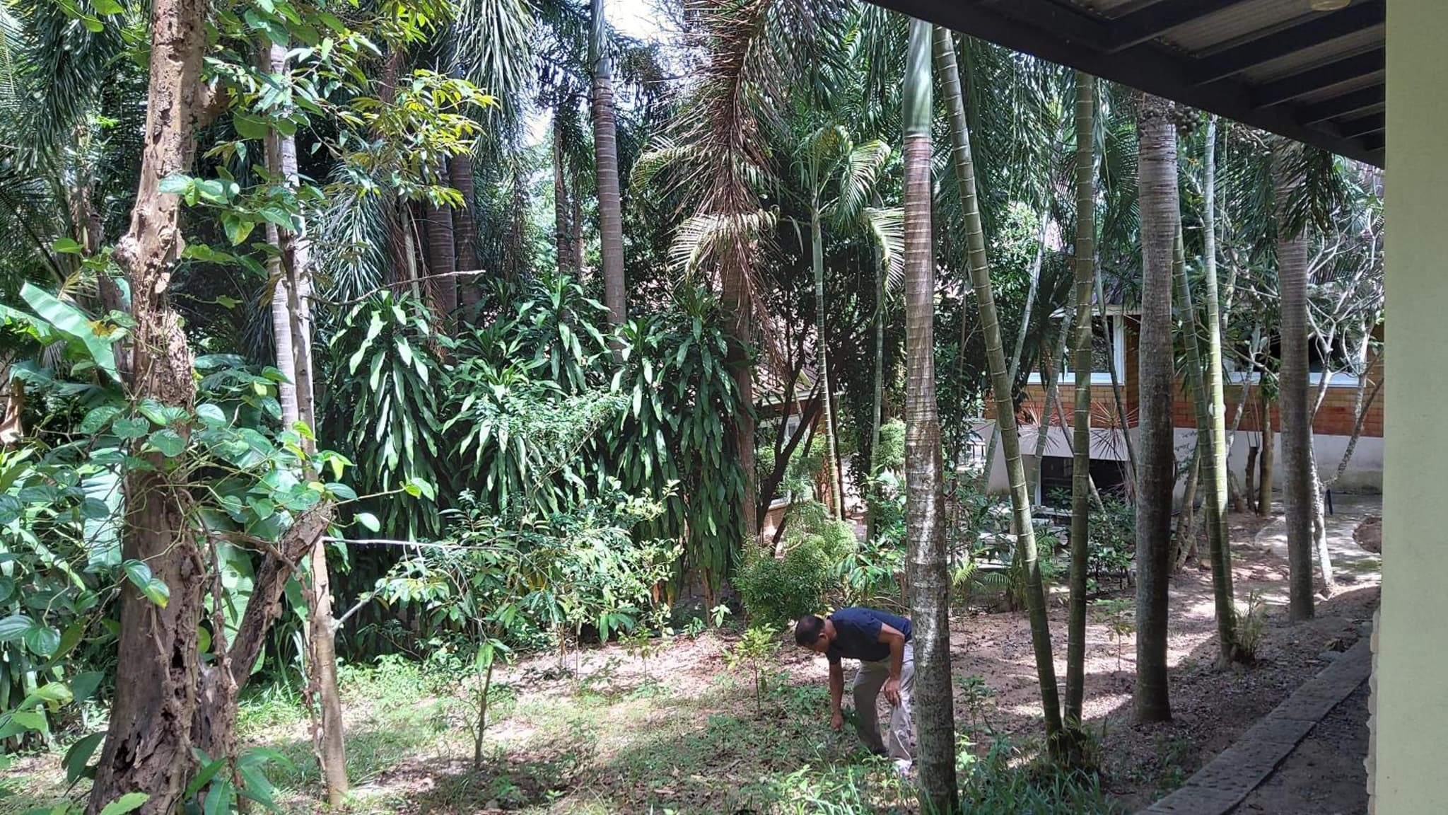 Wilai Villa Lamai photo 4