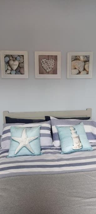 Seashells photo 8