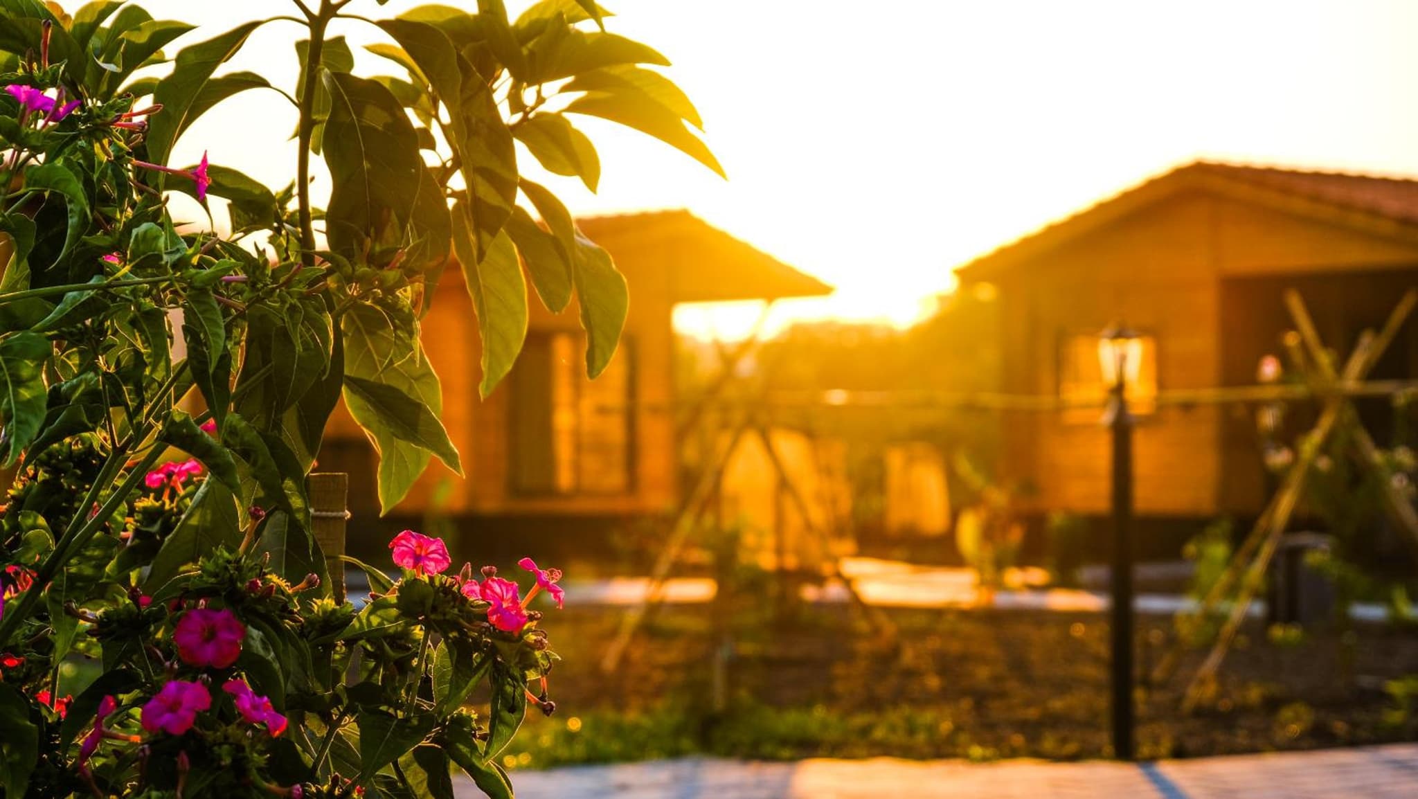 Lemon Garden Lodge photo 7