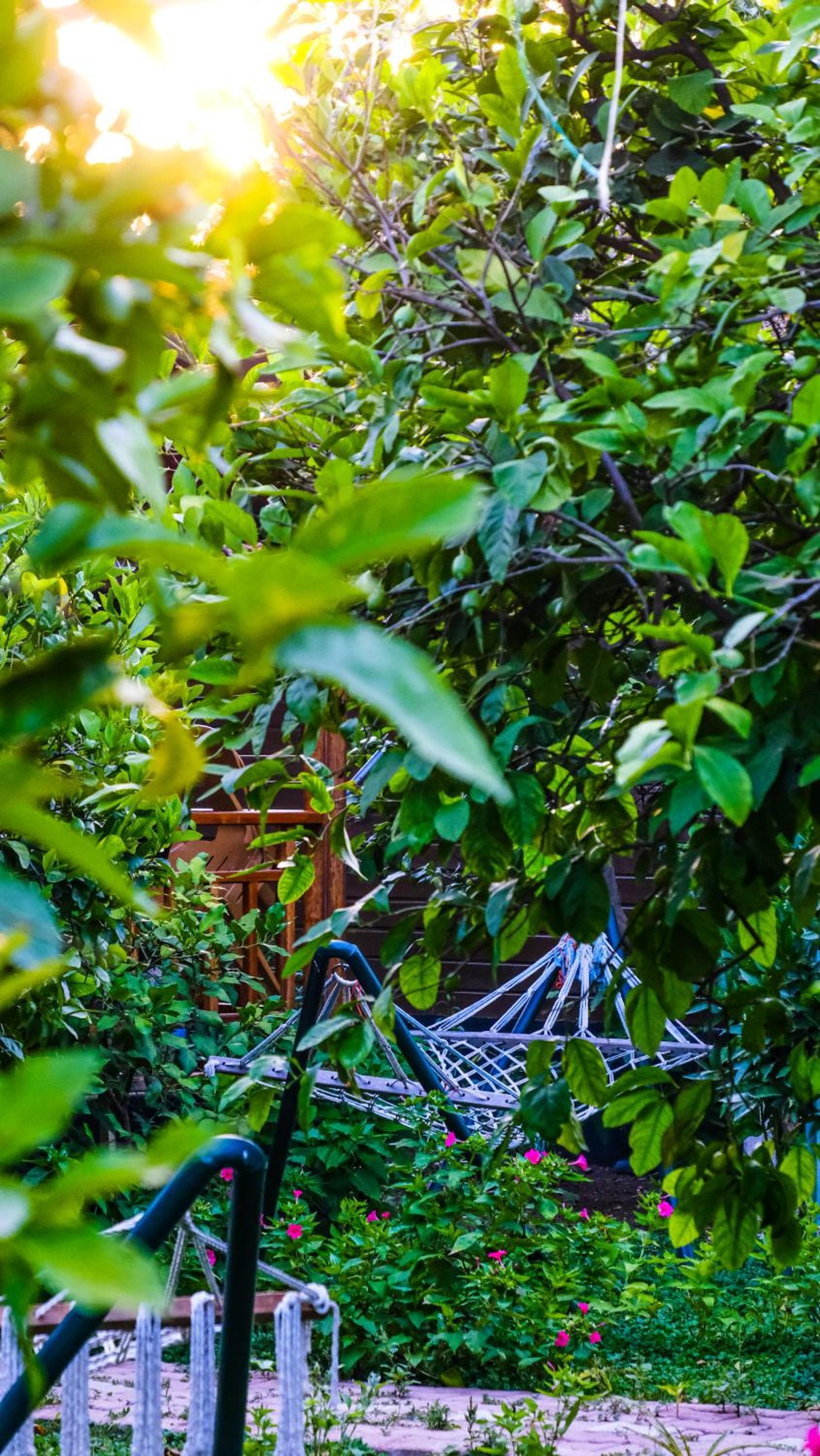 Lemon Garden Lodge photo 8