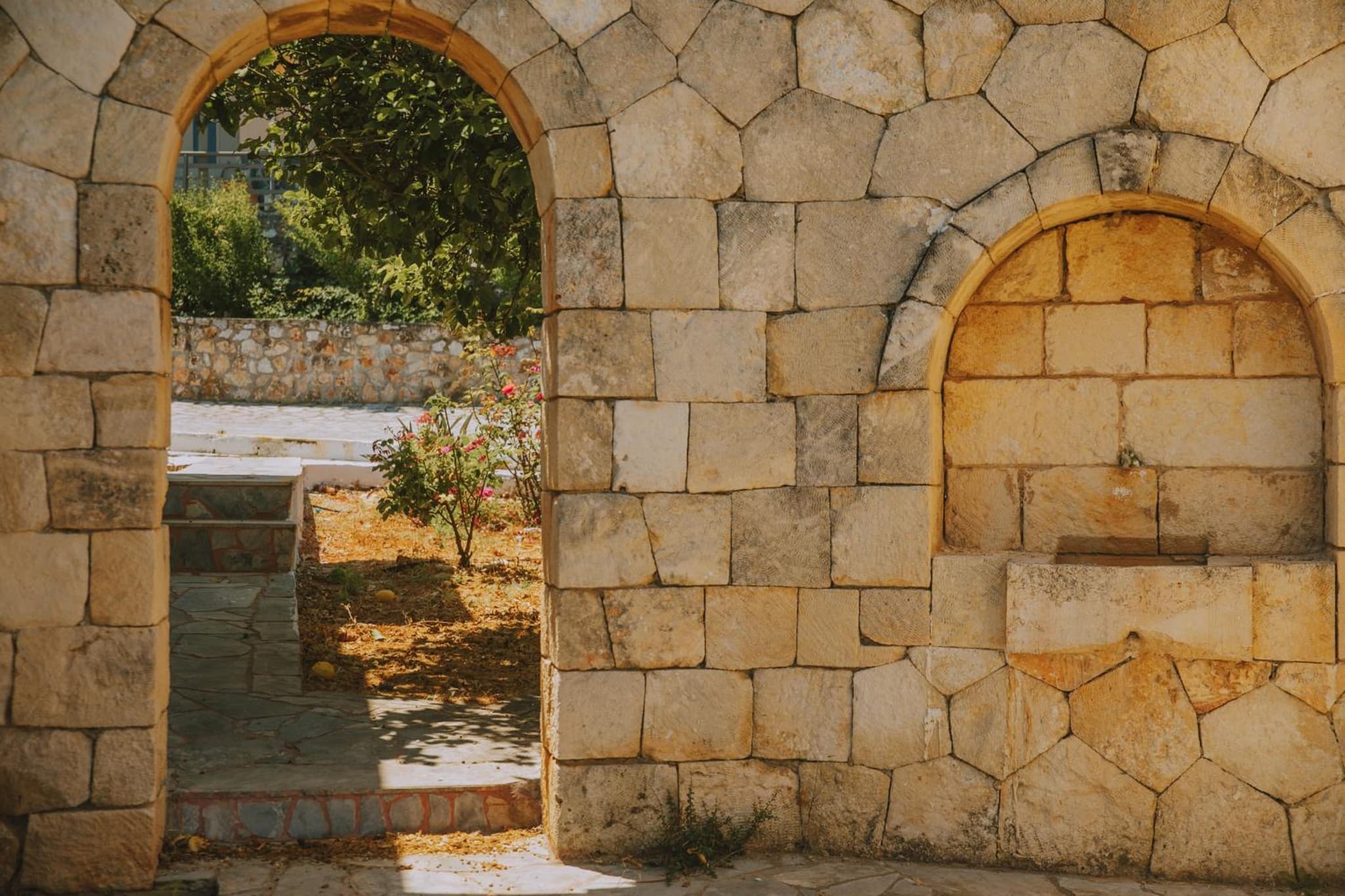 Creta Vitalis photo 3