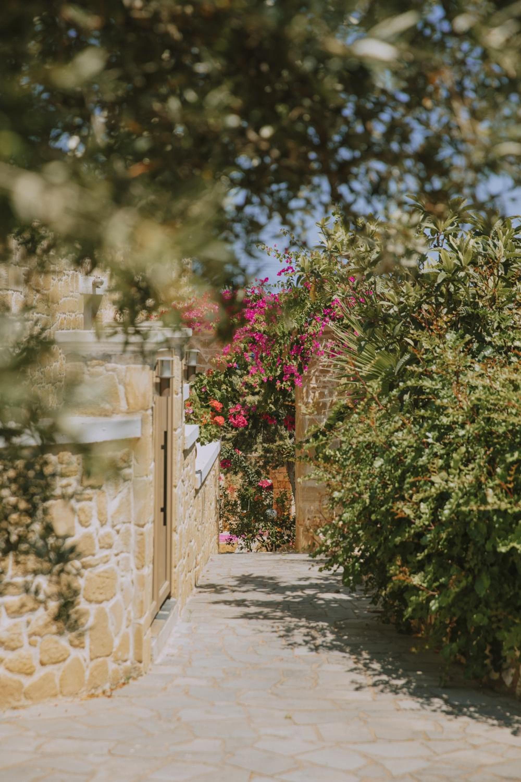 Creta Vitalis photo 9