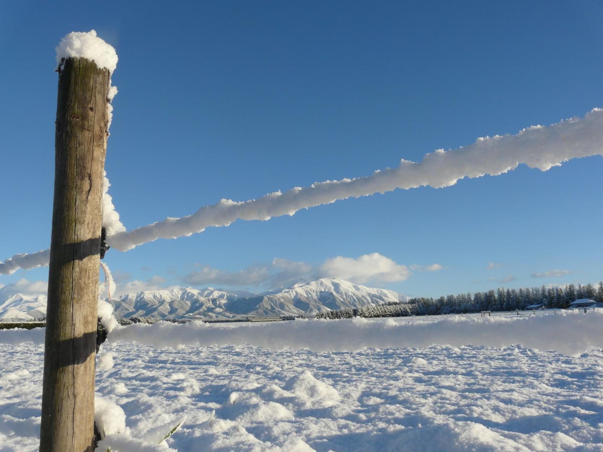 Ski Time photo 4