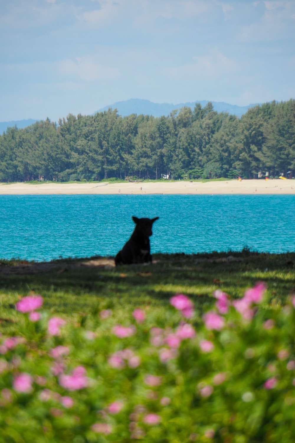 Ideo Phuket Hotel - Naiyang Beach photo 5