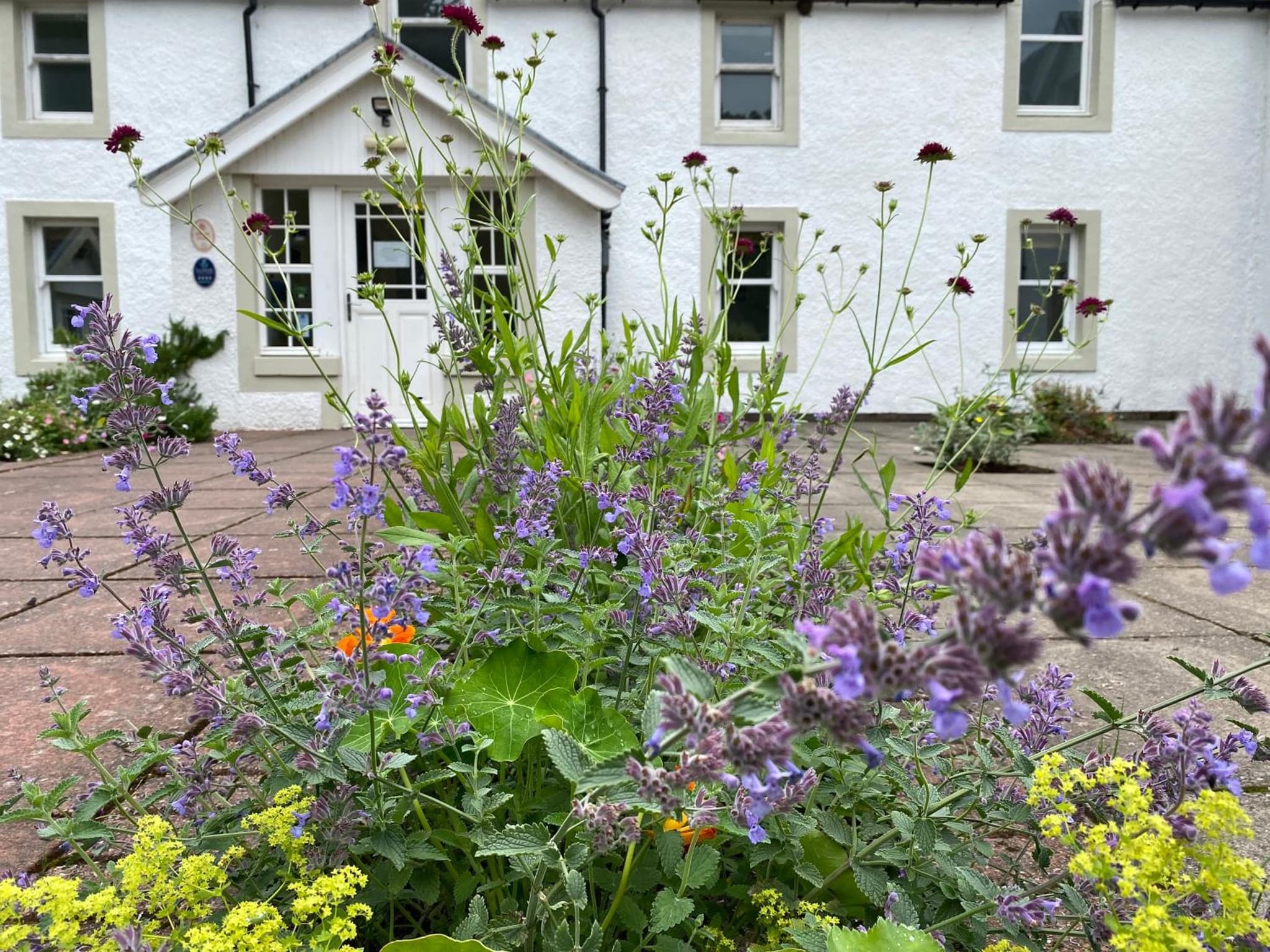 Hartfield House Hostel photo 4