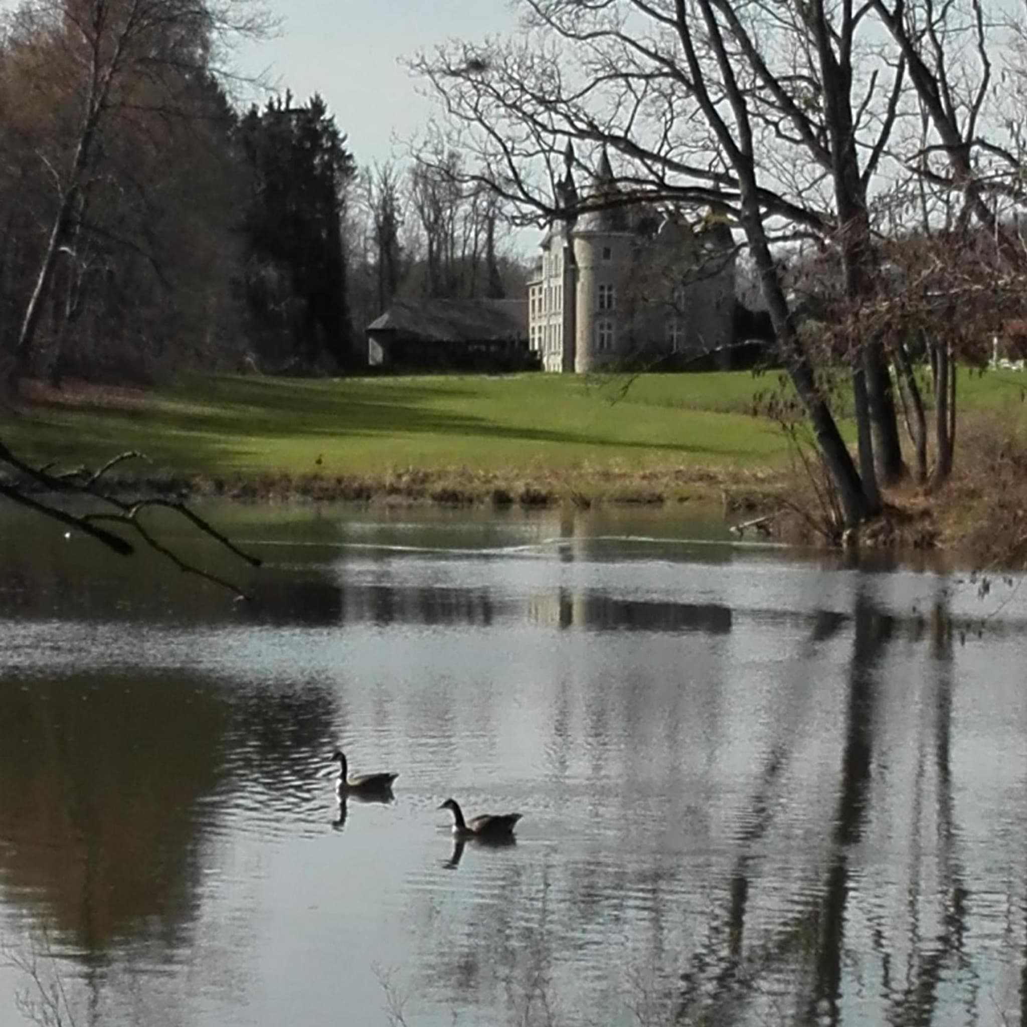 Chateau d'Hassonville photo 8