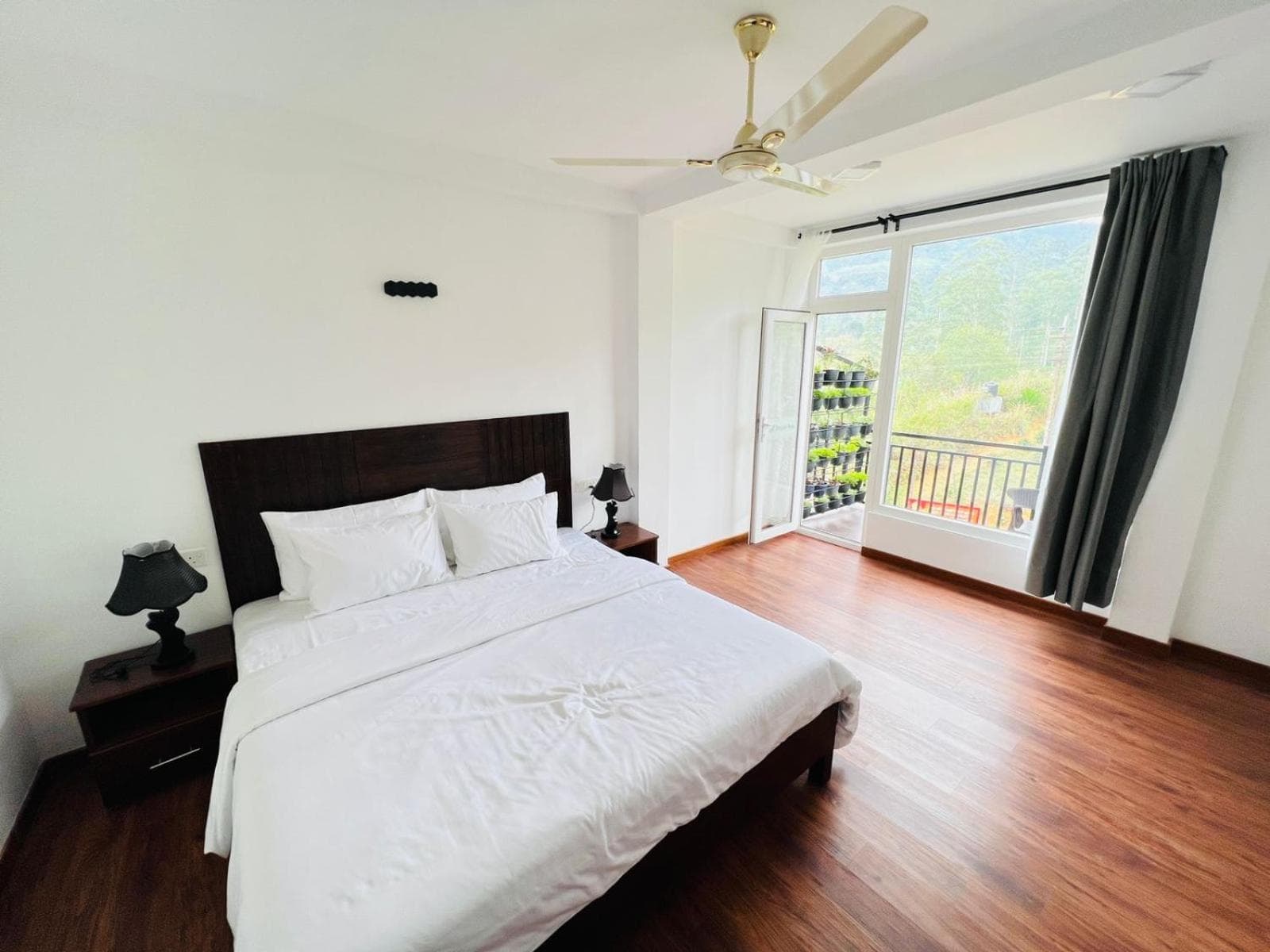 Dream Stay Green photo 3