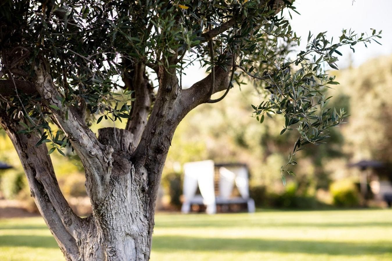 Vila Valverde Design Country Hotel photo 2