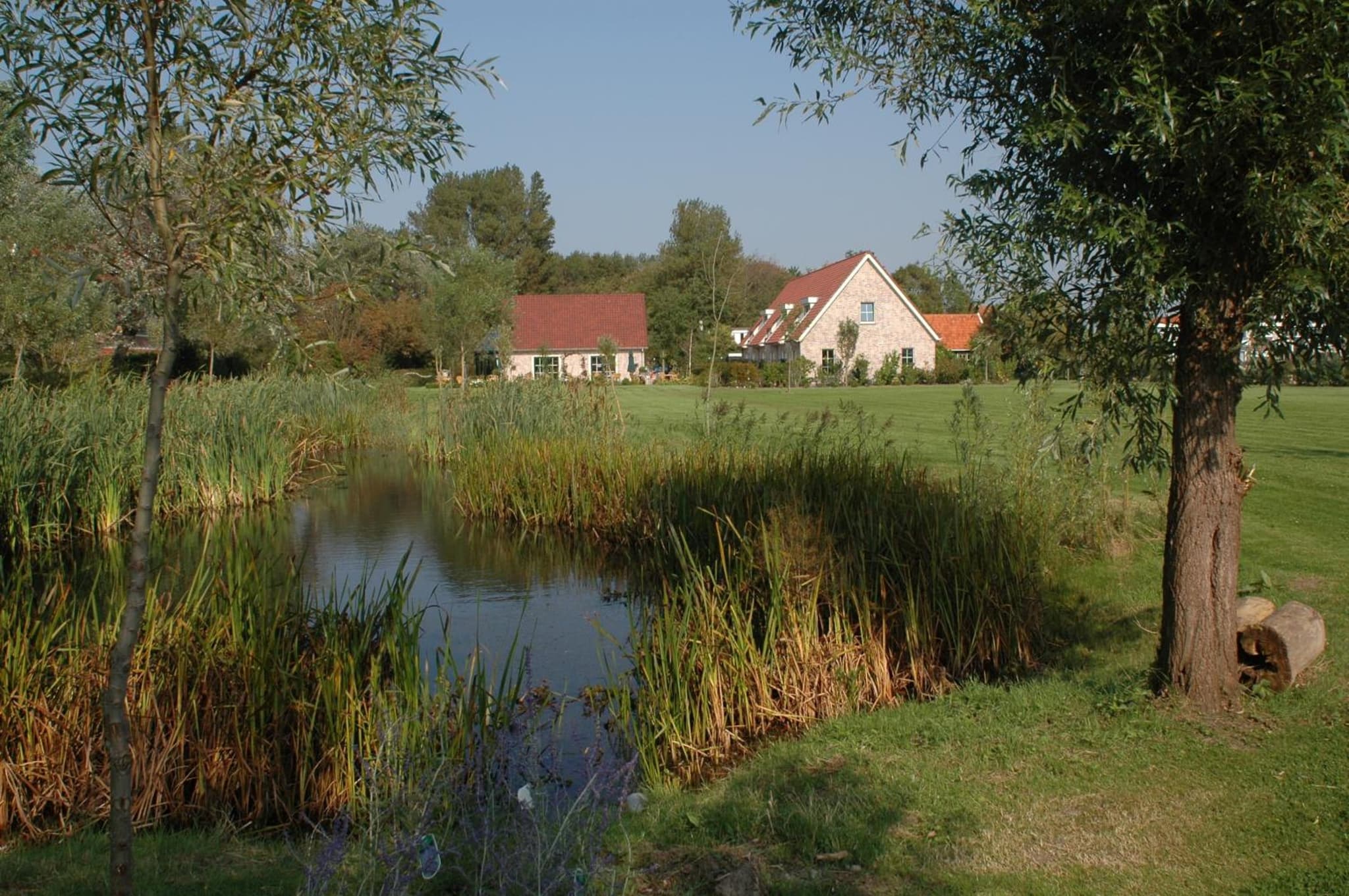 Villa Magnolia photo 5