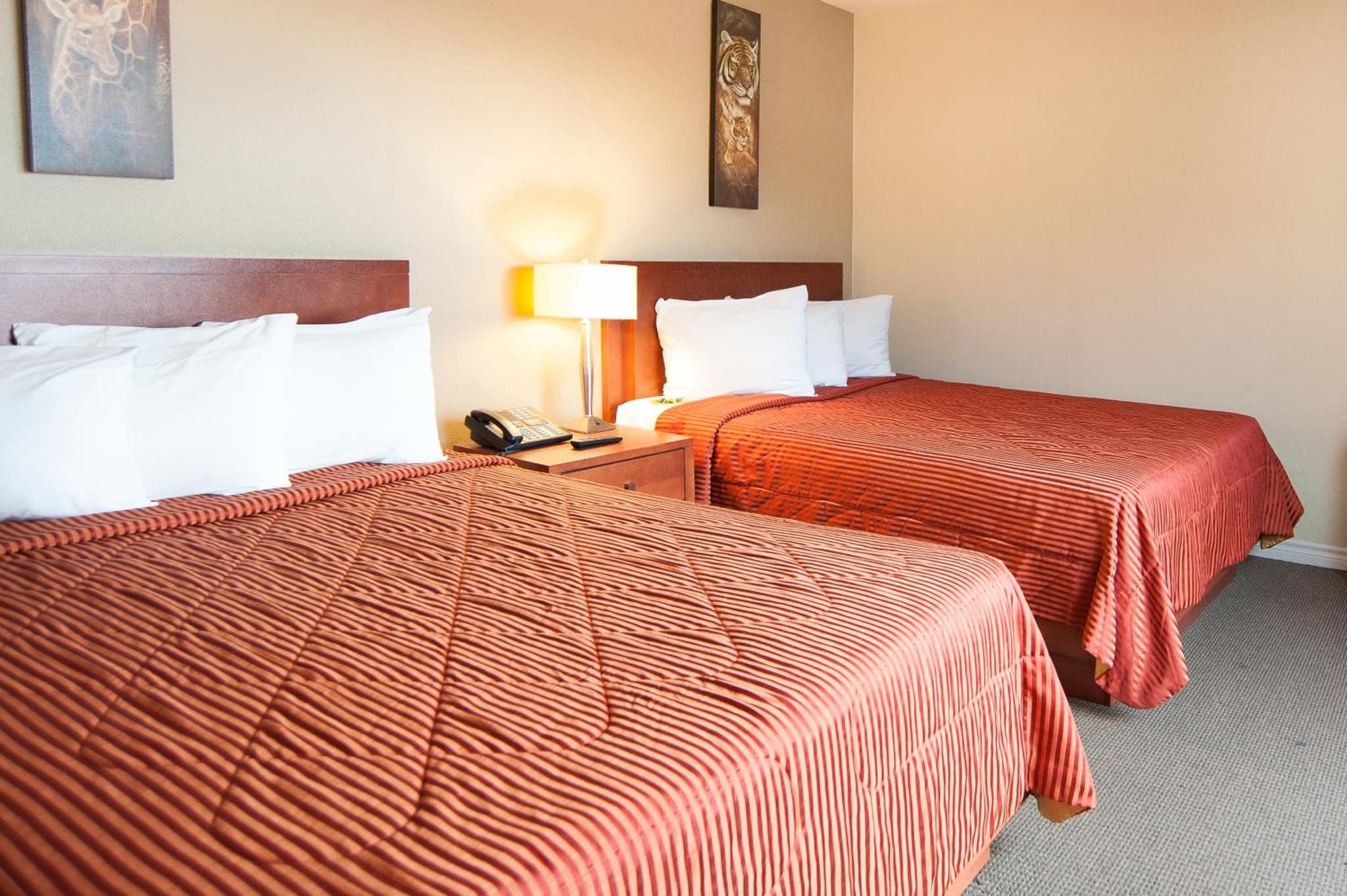 Hotel Le Mirage photo 8