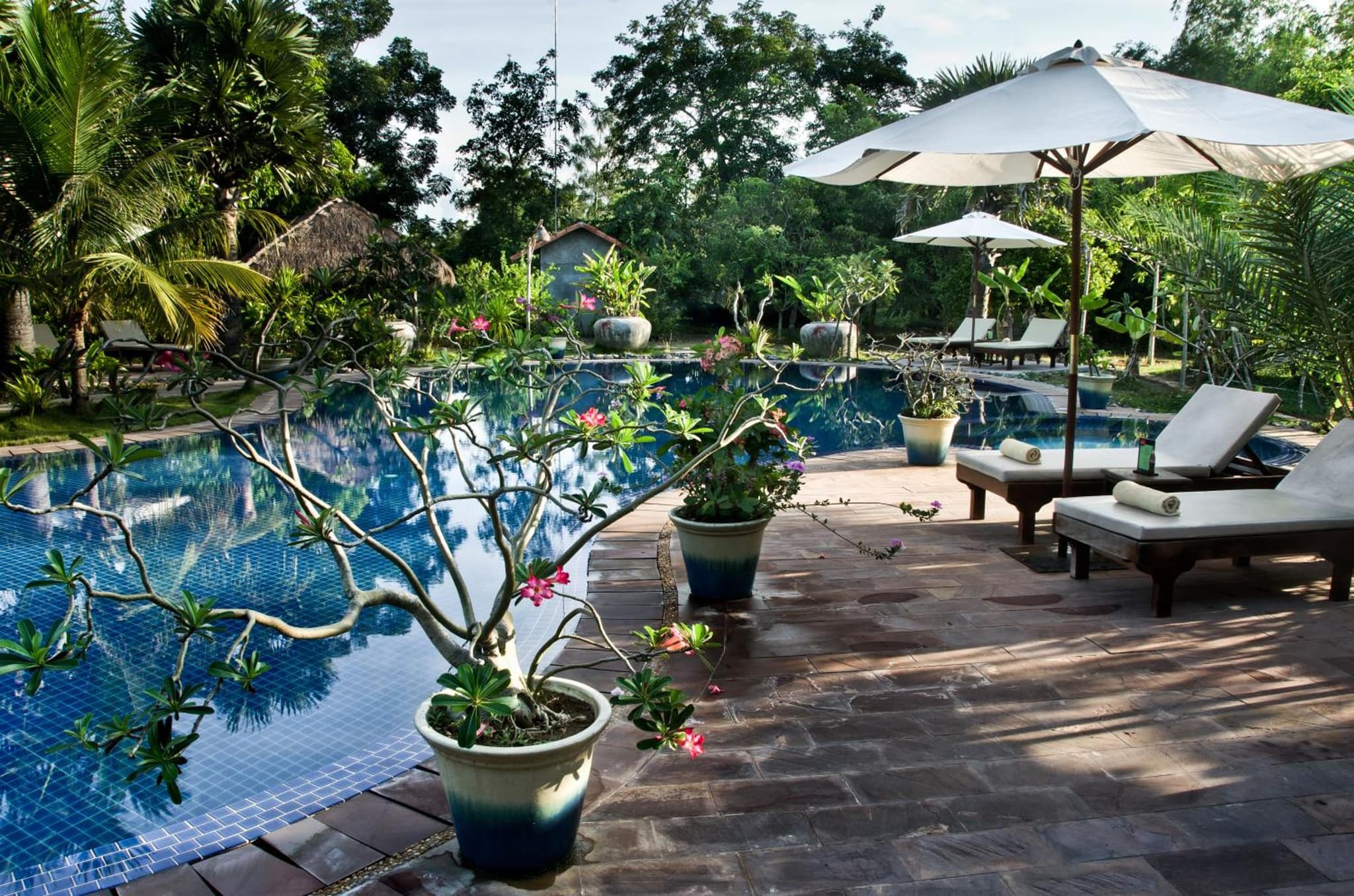 Battambang Resort photo 8